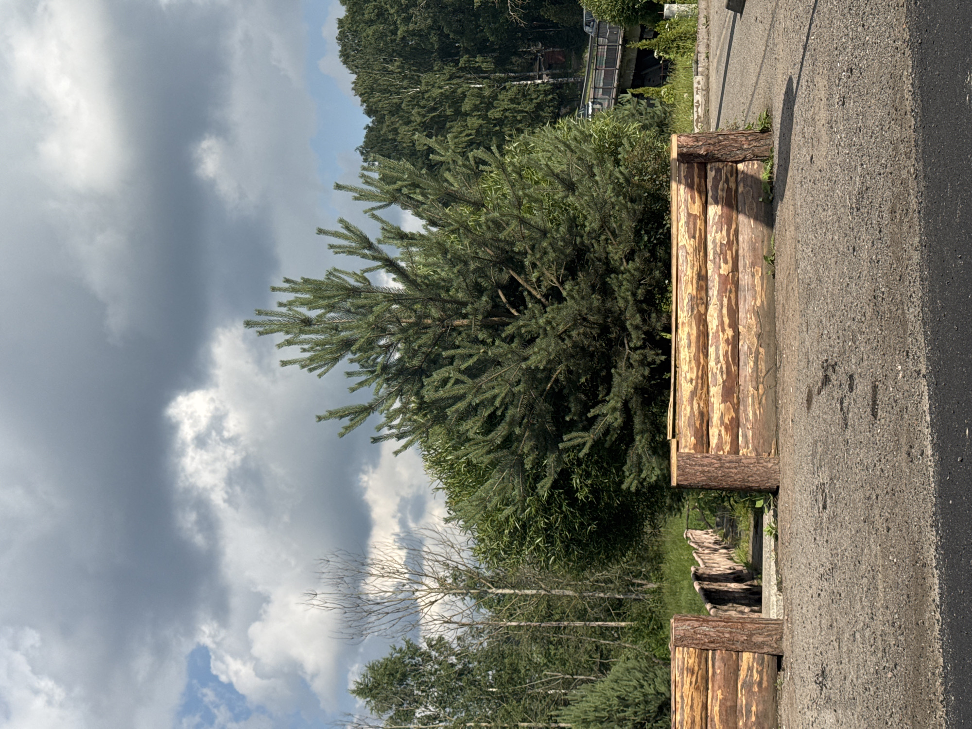 The image depicts an outdoor scene with a prominent pine tree in the center, flanked by a wooden barrier constructed from logs. In the background, a bridge with railings can be seen, with cars driving across it. Dense green trees and foliage surround the area, and the sky is filled with a mixture of blue sky and dark, cloudy formations. The ground in the foreground appears to be a mix of gravel and asphalt. The scene is set in a park or natural area. It is not possible to determine the specific city of Gorodok, Russia from the provided image alone.