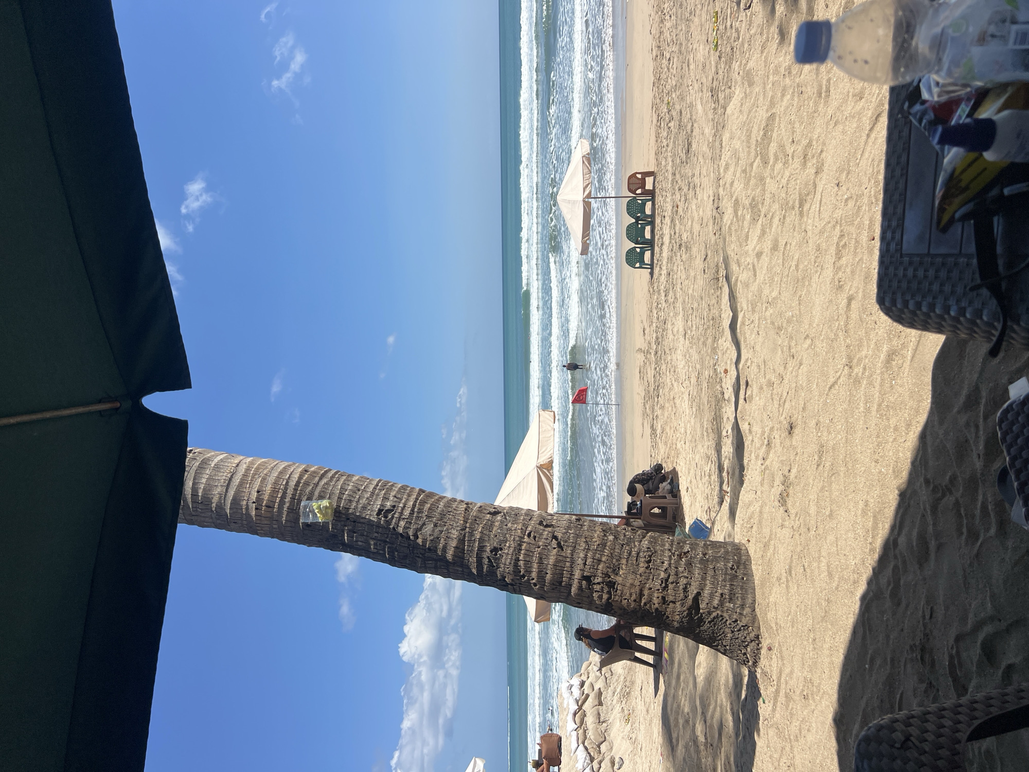 The image shows a beach in Kuta, Indonesia. In the foreground, there are chairs and a table under a large umbrella, with a bottle of water on the table. In the midground, a palm tree stands tall, with a small plastic bag of green items attached to it. A person is seated on a chair to the left of the palm tree. Further back, there are more chairs and umbrellas, with a red flag planted in the sand near the water. Several people are visible in the ocean, some wading and others possibly swimming. The ocean has moderate waves, and the sky is clear blue with a few scattered clouds. The beach is sandy, with some evidence of sandbags used for erosion control along the shoreline.