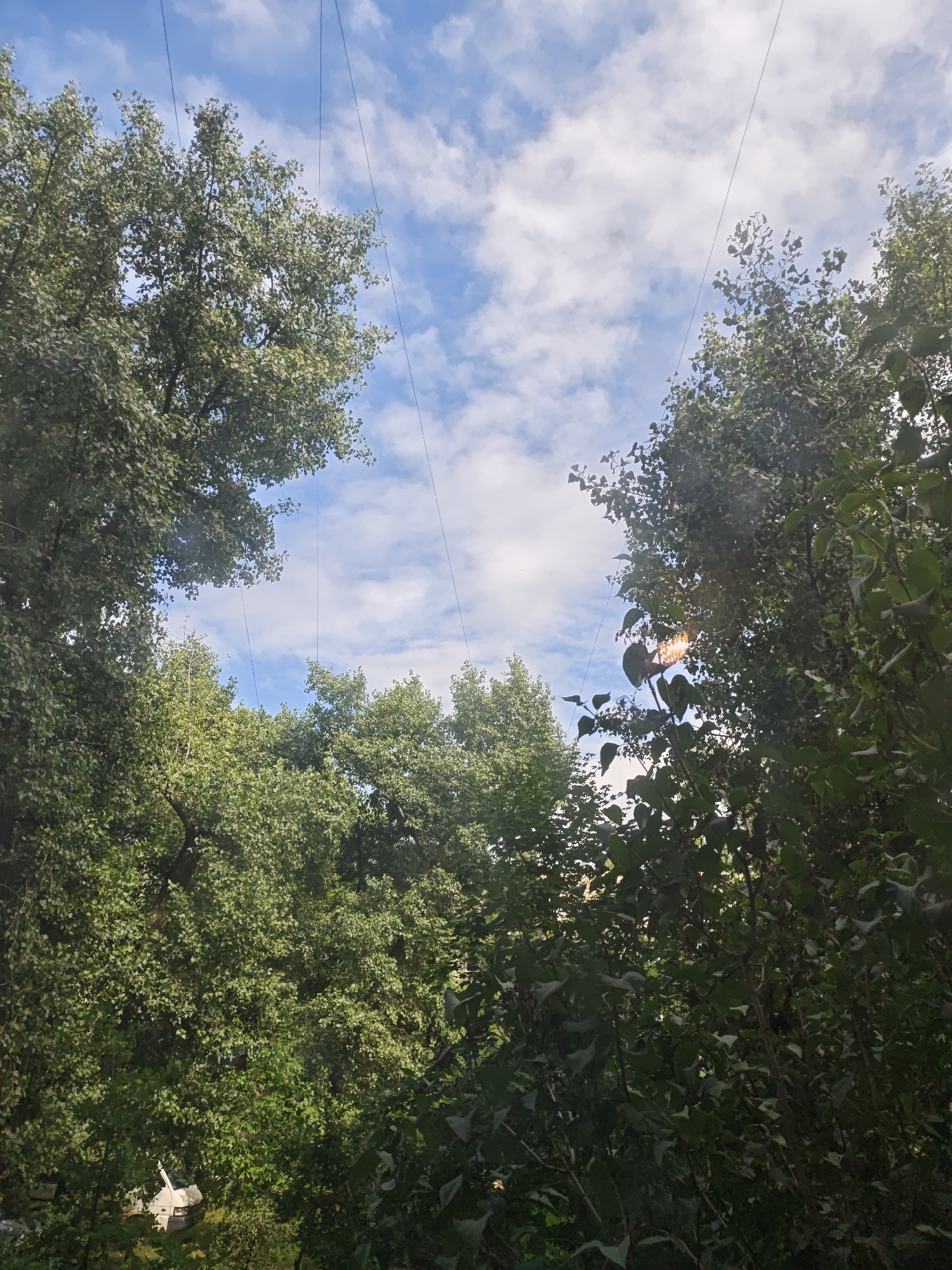 The media file depicts a natural scene from a low-angle perspective, looking upwards towards the sky. Dominating the frame are lush green trees, their leaves dense and vibrant, suggesting a time of year with abundant foliage, likely spring or summer. Several thin, dark lines, presumably wires or cables, stretch across the upper portion of the image against a bright blue sky dotted with fluffy white clouds. Sunlight filters through the trees, creating a gentle dappled effect and highlighting some of the leaves with a warm glow.
In the lower left of the image, partially obscured by greenery, is a glimpse of a white car, its door open. This suggests a somewhat unkempt or naturalized setting, possibly an overgrown area or a place where nature is reclaiming man-made elements.
The scene conveys a sense of tranquility and the beauty of nature. The bright sky and sunlight indicate it is daytime, likely mid-morning or afternoon. The overall impression is one of peacefulness, with the natural world taking center stage. No people are visible in the media file, nor is any text present. The location context of Voronezh, Russia, suggests this could be a park, a backyard, or a natural area within or near the city.