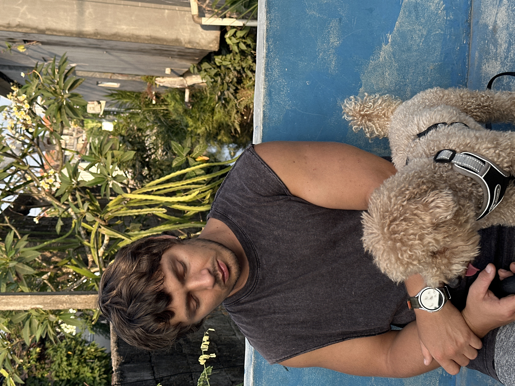 A medium shot captures a man with brown, wavy hair and closed eyes, his head bowed, sitting outdoors. He wears a dark grey sleeveless shirt and a watch on his left wrist. Beside him, to his right, sits a light brown, curly-haired poodle wearing a black and grey harness. The man's left arm is crossed over his chest, and his right hand rests on his lap. The poodle is looking towards the man's hand, with its tongue slightly out. They are positioned on a bright blue bench or seating area. The background features lush green foliage, including plants with long, spiky leaves and some with small white flowers, suggesting a tropical environment. A weathered wooden fence and a concrete wall are also visible. The lighting indicates it is daytime, possibly late afternoon, with shadows cast by the sun. This scene is situated in a garden or outdoor area within the city of North Kuta, Indonesia.