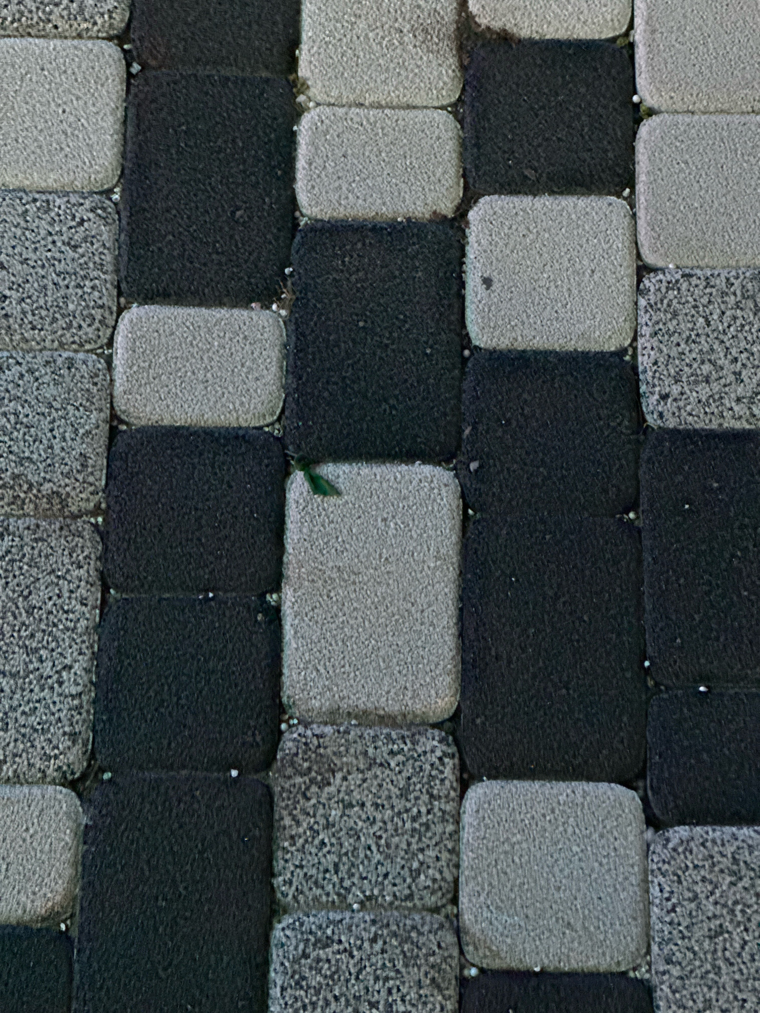 The image shows a close-up, top-down view of a paved surface composed of interlocking square and rectangular pavers arranged in a checkerboard pattern. The pavers are of two main colors: dark gray/black and light gray/tan. Some of the light-colored pavers have a speckled texture, suggesting they are made of a different material or have a different finish than the solid-colored ones. The pavers are laid with narrow grout lines visible between them, and some small debris or pebbles are present in these gaps. A single green leaf is visible in the upper-middle section of the image, resting on one of the dark pavers. The overall impression is of an outdoor paving area, possibly a walkway, patio, or street. There are no people or animals present in the image. The location is described as Lermontovo, Russia.