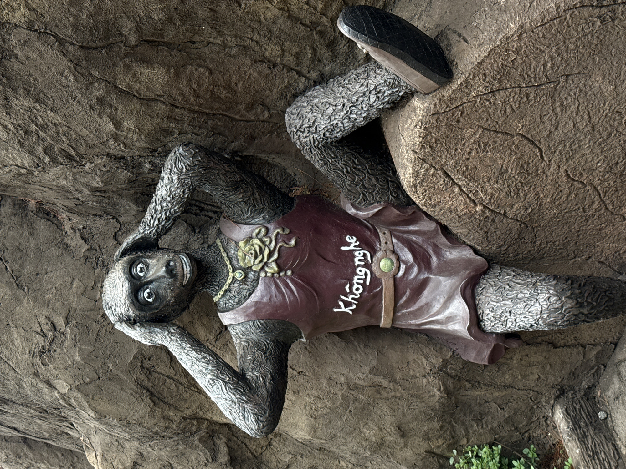 An angled image captures a detailed, greyish monkey-like statue lounging against a dark, textured rock formation, likely within a cave or grotto in Da Lat, Vietnam. The statue's skin and limbs are intricately textured, resembling fur. It is depicted lying on its back, with its head resting on one hand, while the other hand is near its face. The figure sports a wide, mischievous smile revealing teeth and has large, expressive eyes with light irises and dark pupils, gazing forward.
The statue wears a dark reddish-brown tunic or dress, embellished with ornate gold-colored patterns around the chest and a belt featuring a green gem-like buckle. Prominently displayed on the tunic is the white Vietnamese text "Không nghe," which translates to "Don't listen" or "Not listening." One leg of the statue is bent and propped up, with a black, textured shoe visible on its foot, resting against another rock.
The surrounding environment consists of rough, stratified grey and brown rock surfaces, characteristic of a natural rock formation. Small patches of green vegetation are visible at the lower right. The lighting is soft and diffused, suggesting a shaded area or an indoor setting designed to mimic natural light, contributing to the tranquil yet playful mood of the scene.