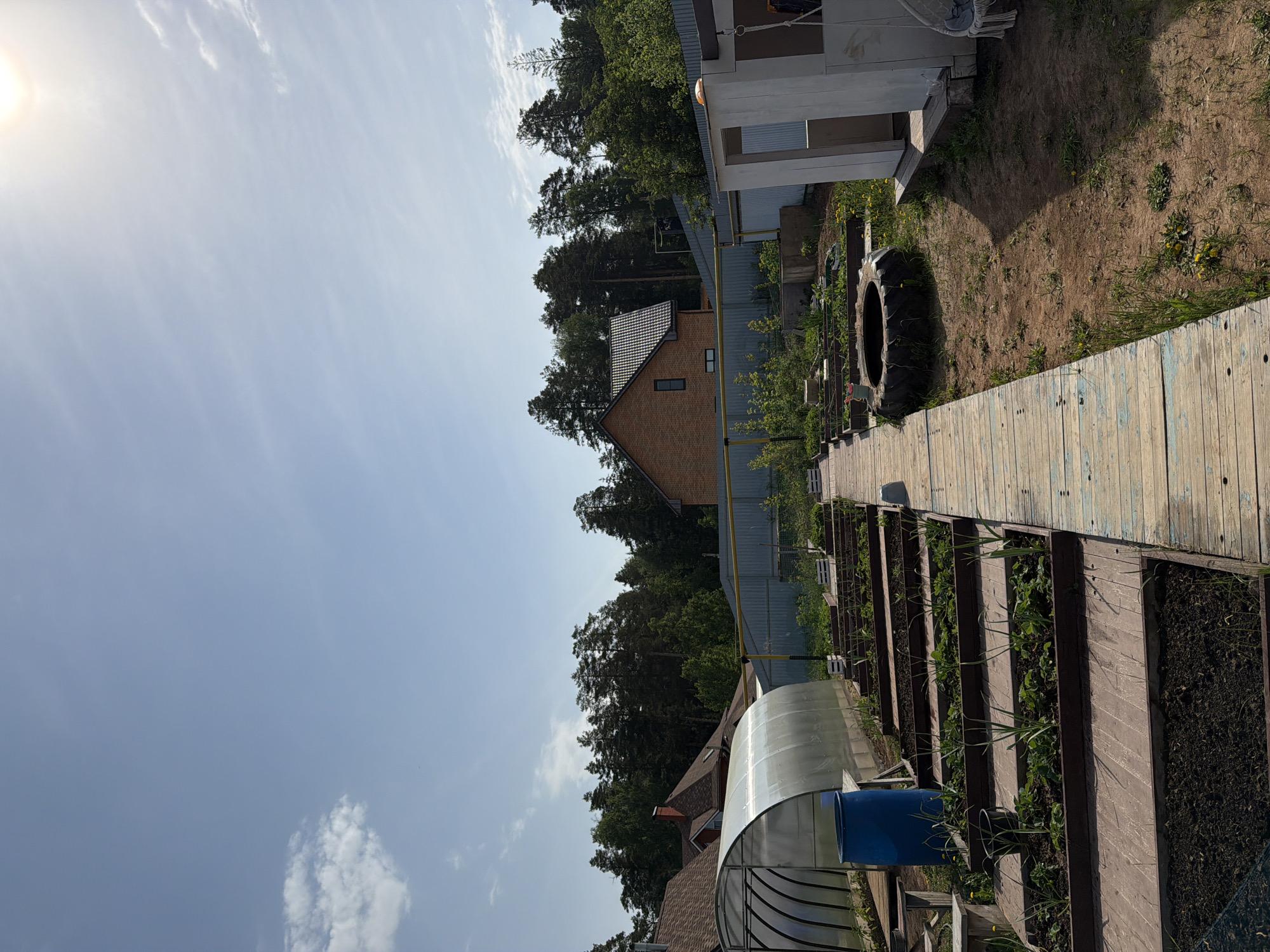 The image shows a garden area in Chaikovsky, Russia. A small greenhouse with a blue barrel sits next to raised garden beds. A wooden walkway leads past a large tire and a metal fence towards a brick house with a brown tile roof, partially obscured by trees. Another building sits adjacent to the house, and the sky is partly cloudy.