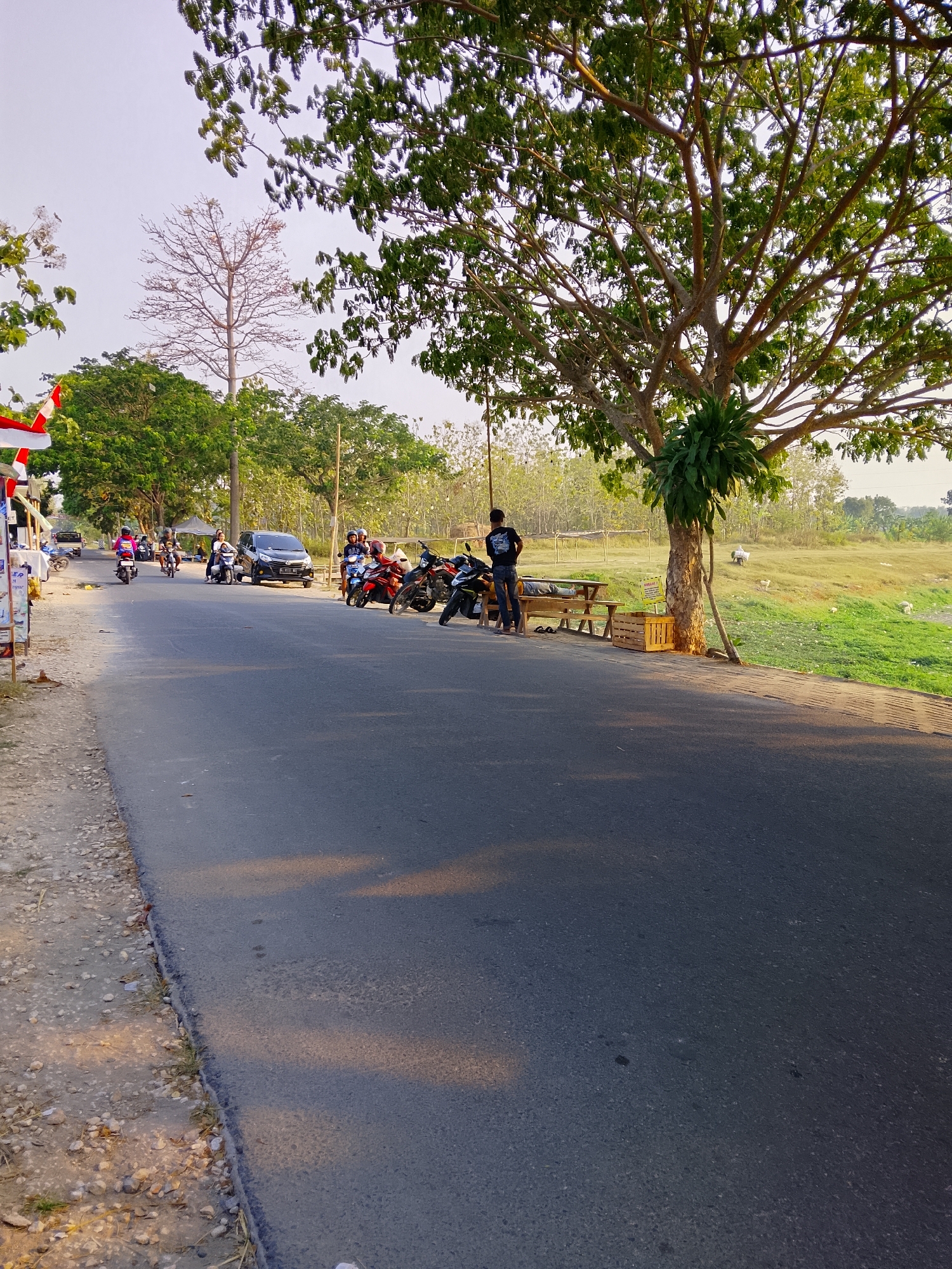 In Ngadrin, Indonesia, a two-lane asphalt road runs diagonally from the bottom left to the upper right of the frame. On the left side of the road, a dirt shoulder is visible, scattered with small stones and some sparse green vegetation. Further left, a white vehicle is parked, adorned with Indonesian flags. Several motorcycles are parked or moving on the road. To the right of the road, a grassy field slopes upwards, with several small white animals, possibly sheep, grazing. A large tree with dense green foliage stands prominently on the right side, its branches extending over the road. A wooden picnic table and bench are situated beneath the tree, next to a wooden crate. A person in a black shirt stands near a parked yellow motorcycle next to the picnic table. The sky is a pale, overcast hue.