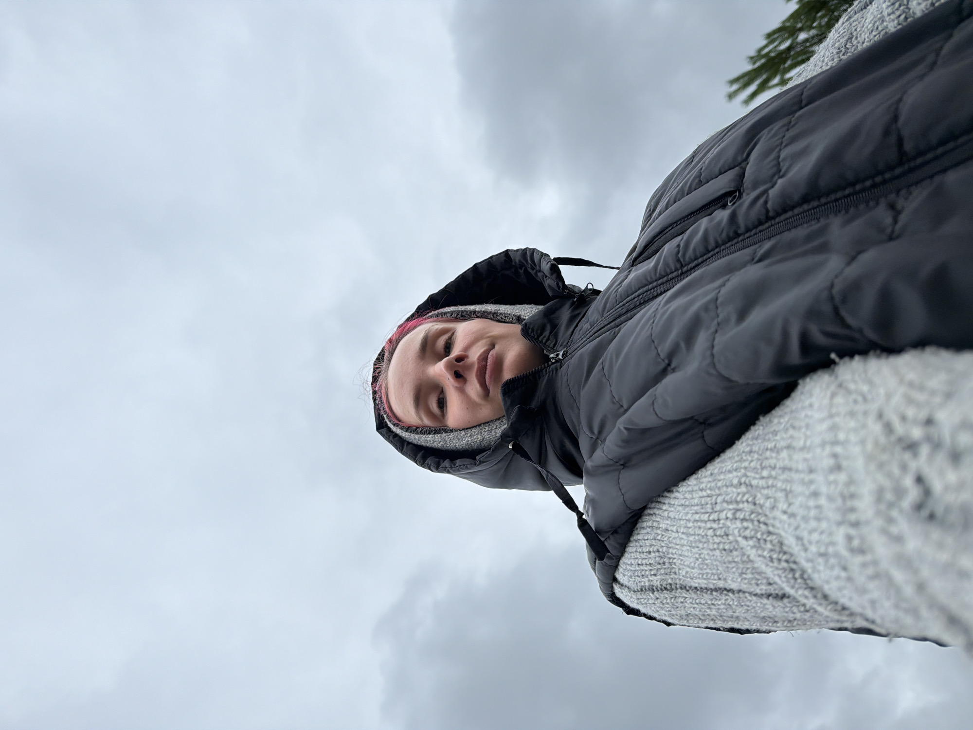 A low-angle, close-up, outdoor shot captures a person from the chest up against a cloudy sky. The subject, facing the camera, has pink-dyed hair peeking out from under a grey hooded sweater, which is layered under a black, quilted puffer vest. The vest is zipped up, and a drawcord hangs from the hood. The background is dominated by a dense, overcast sky with visible clouds. To the right of the frame, the blurred green needles of a coniferous tree are partially visible. No specific location in Chaikovsky, Russia, is identifiable from the image.