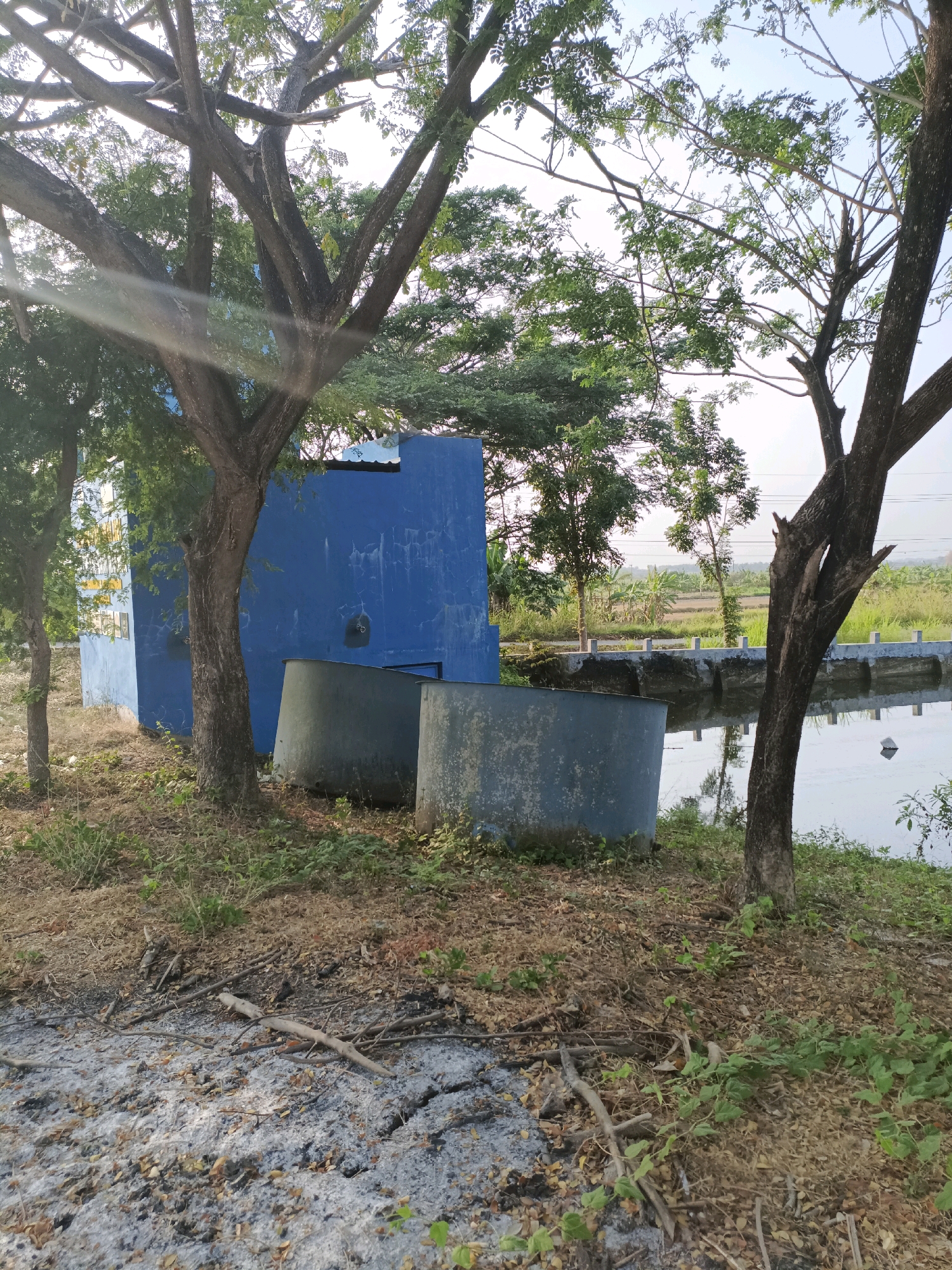 The image depicts an outdoor scene in Guminingrejo, Indonesia. In the foreground, the ground is covered with dry leaves, twigs, and ash, suggesting a recent fire. Two large, cylindrical tanks, possibly water tanks, are situated on the left side of the frame. Behind the tanks, a bright blue building with a corrugated roof is visible. Several trees with dense foliage are scattered throughout the scene, with sunlight filtering through their branches. A body of water, possibly a pond or canal, is present on the right, with a low concrete wall and railing alongside it. In the background, agricultural fields with rows of crops and some scattered trees can be seen, leading to a hazy horizon. The overall impression is one of a rural or semi-industrial area with natural elements.