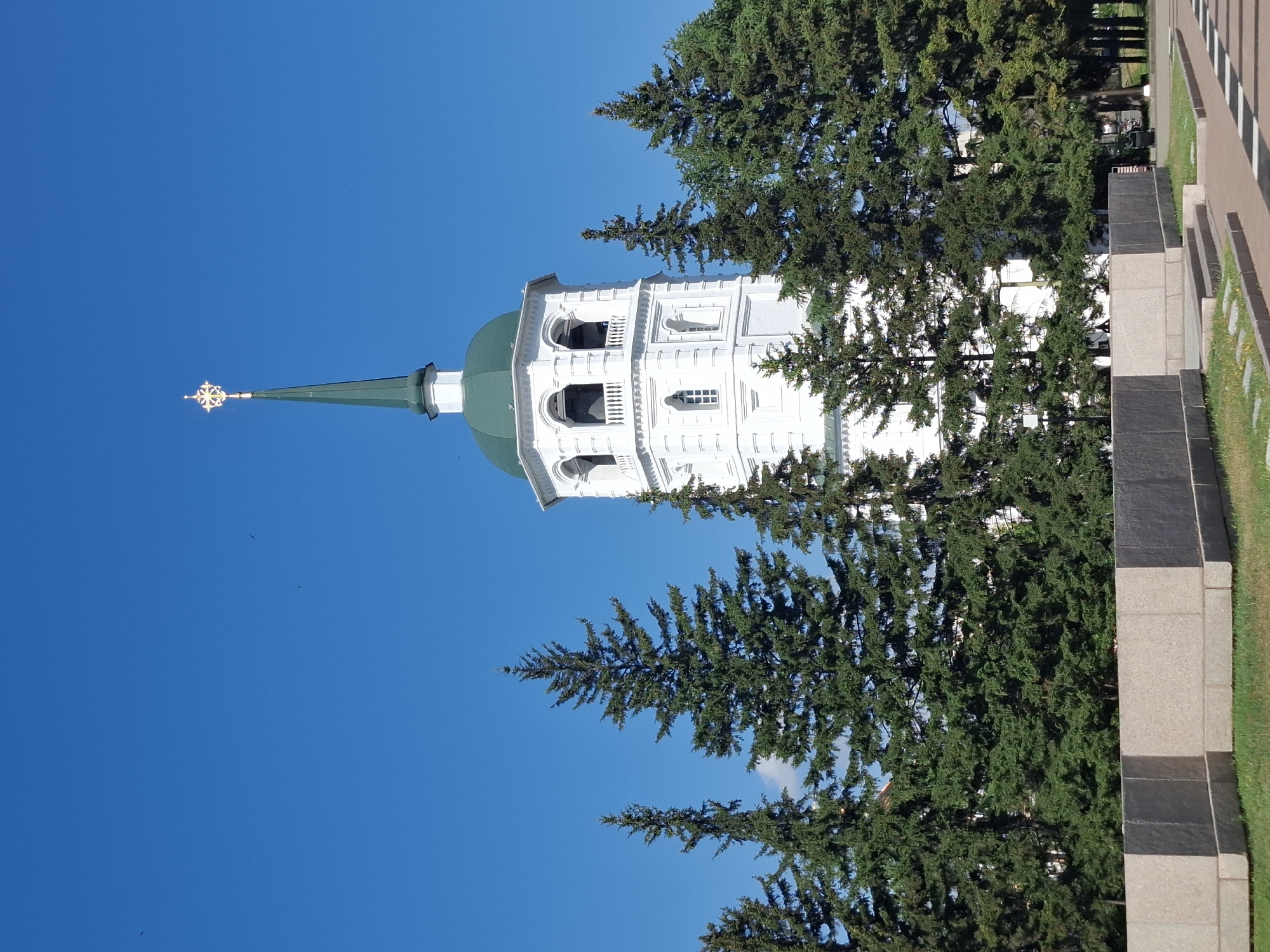 The image depicts a view of the Epiphany Cathedral in Irkutsk, Russia, on a clear day. The cathedral's white bell tower, topped with a green spire and a golden cross, stands prominently against a bright blue sky. A line of tall, dark green pine trees partially obscures the lower sections of the tower, creating a visual contrast between the man-made structure and the natural elements. In the foreground, a low, rectangular wall made of stone blocks and a patch of green grass are visible. The scene is devoid of people.
