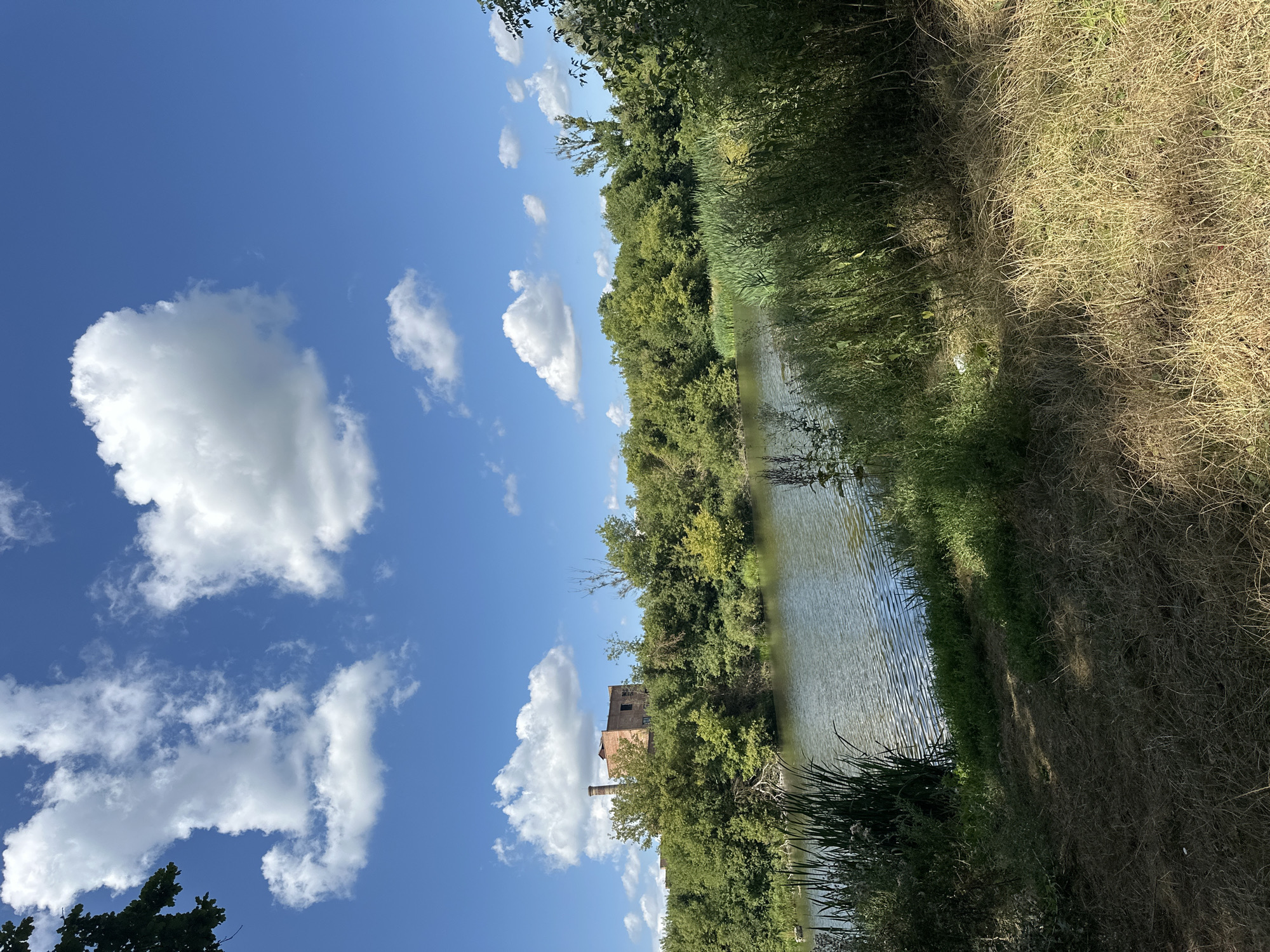 The image depicts a serene river scene on a sunny day with a bright blue sky and fluffy white clouds. Lush green trees line the riverbank, with tall reeds growing along the water's edge. In the distance, a brick building with a chimney stands atop a hill, surrounded by vegetation. The water is calm, reflecting the sky and trees. The foreground is covered in dry grass and sparse vegetation, suggesting a natural, undeveloped area. The location is identified as Makiv, Ukraine.