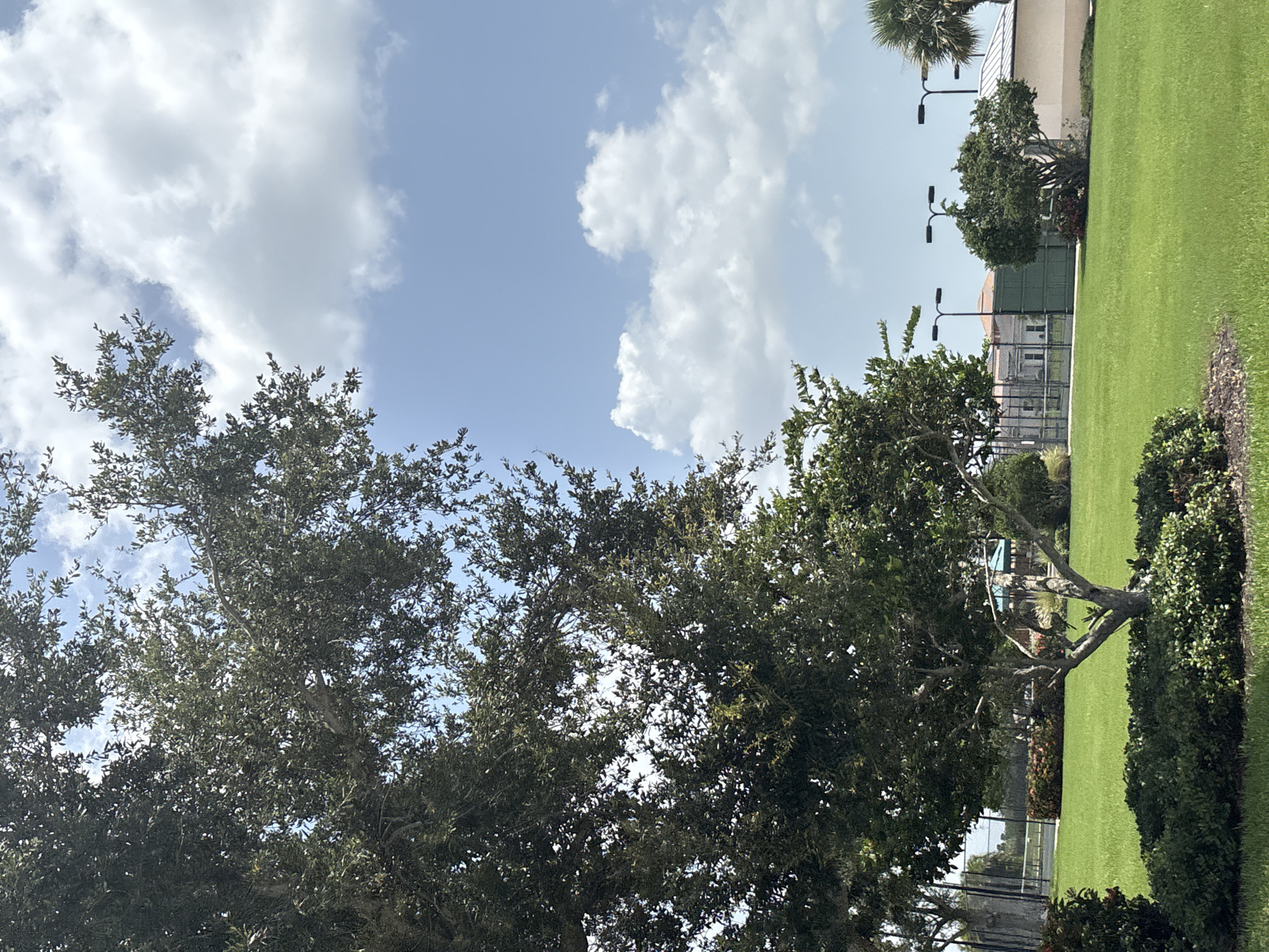 This is a medium-shot, eye-level, outdoor, daytime, vertical photograph of a green lawn with a tree in the foreground, located in Bradenton, Florida, United States of America. In the foreground, a mature tree with dark green leaves and a thick trunk is situated on a lush green lawn, surrounded by dark green bushes. The background features a green fence, a building with a white roof, and palm trees. The sky is blue with scattered white clouds. A tennis court with lights can be seen in the middle ground. The scene is tranquil and idyllic, suggesting a residential or recreational area.
