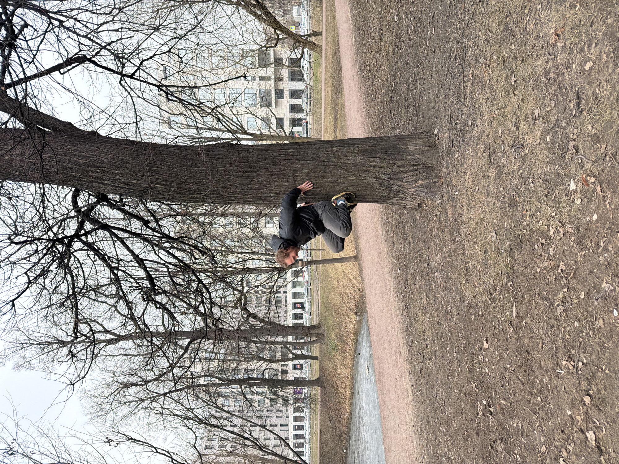 A man in a dark jacket and gray pants is embracing a tree in a park. The park has a dirt path and a grassy area covered in dead leaves. There are bare trees in the background and a multistory building. The location appears to be Saint Petersburg, Russia.