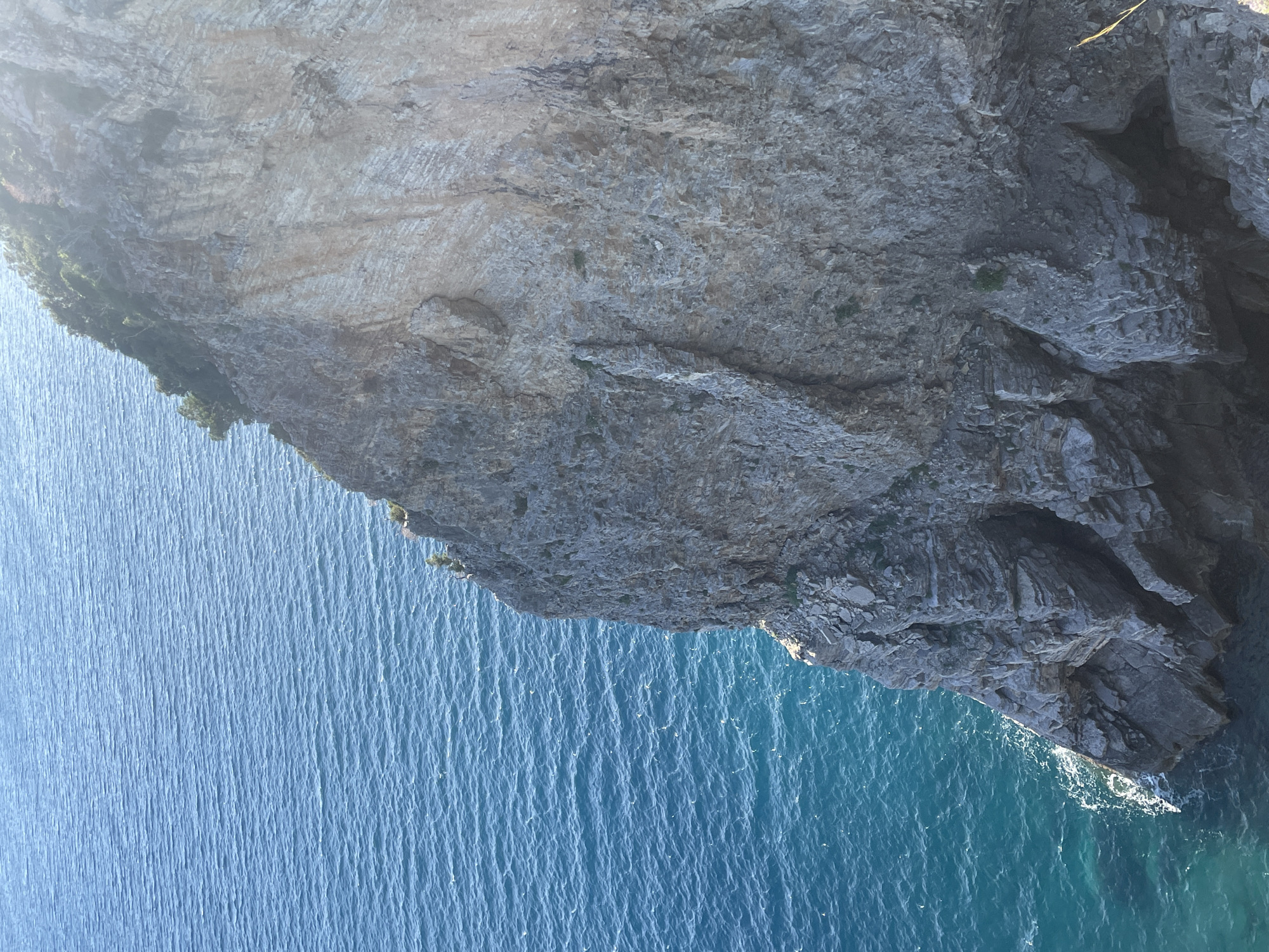 The image shows a steep, rocky cliff face meeting the turquoise water of the Adriatic Sea. The cliff is composed of grey layered rock with sparse green vegetation clinging to its surface. The water surface is rippled. This scene is located in or near Budva, Montenegro, judging by the terrain and water conditions. There are no people visible.