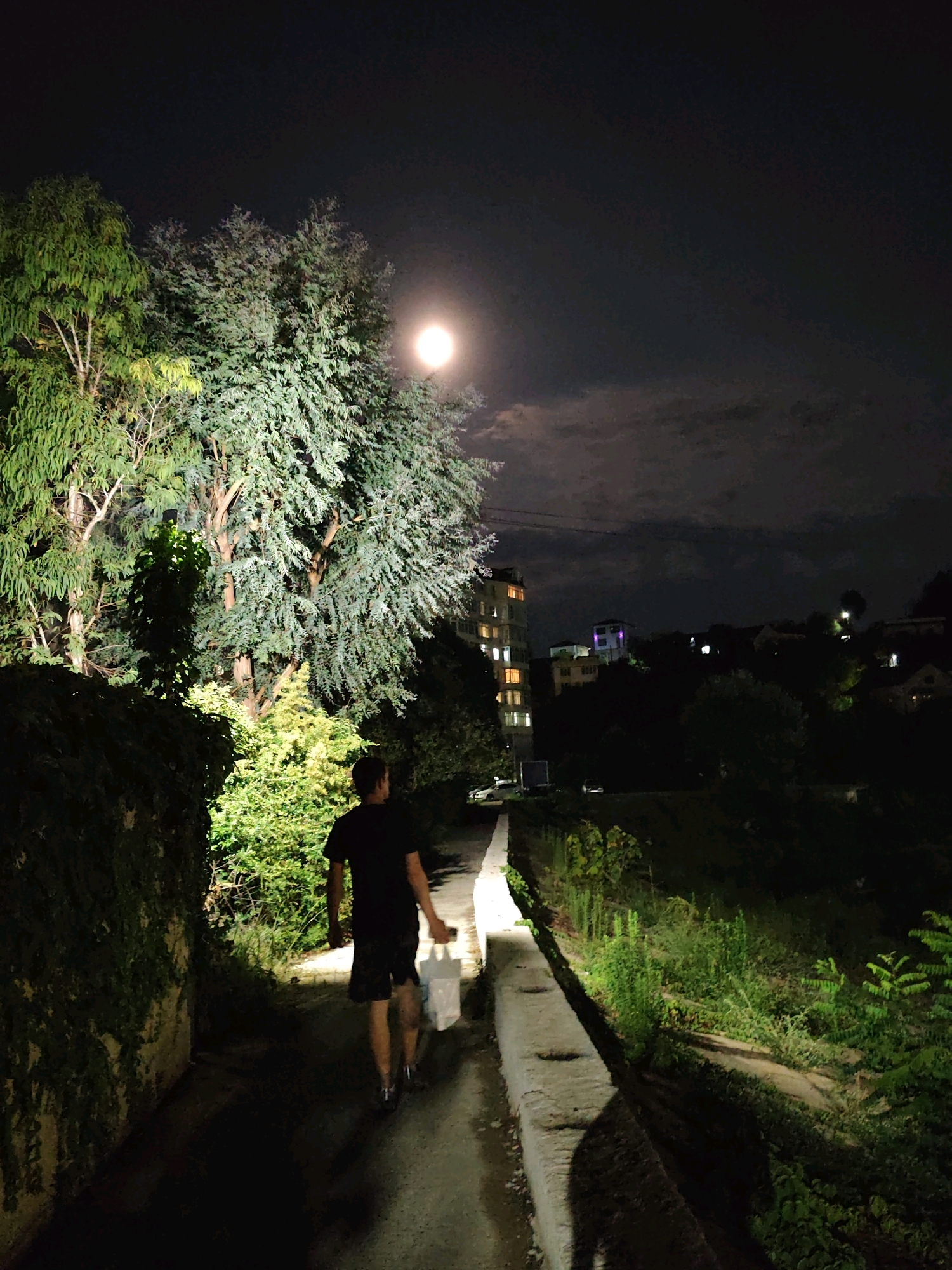 An individual walks down a path at night in a city, possibly Sochi, Russia, illuminated by artificial lights and a bright moon. The person, wearing a dark t-shirt and shorts, carries a white bag. The path is bordered by a low concrete wall and lush vegetation. In the background, several buildings with illuminated windows are visible on a hillside, set against a dark, cloudy sky. The overall scene depicts a quiet, nighttime urban environment.