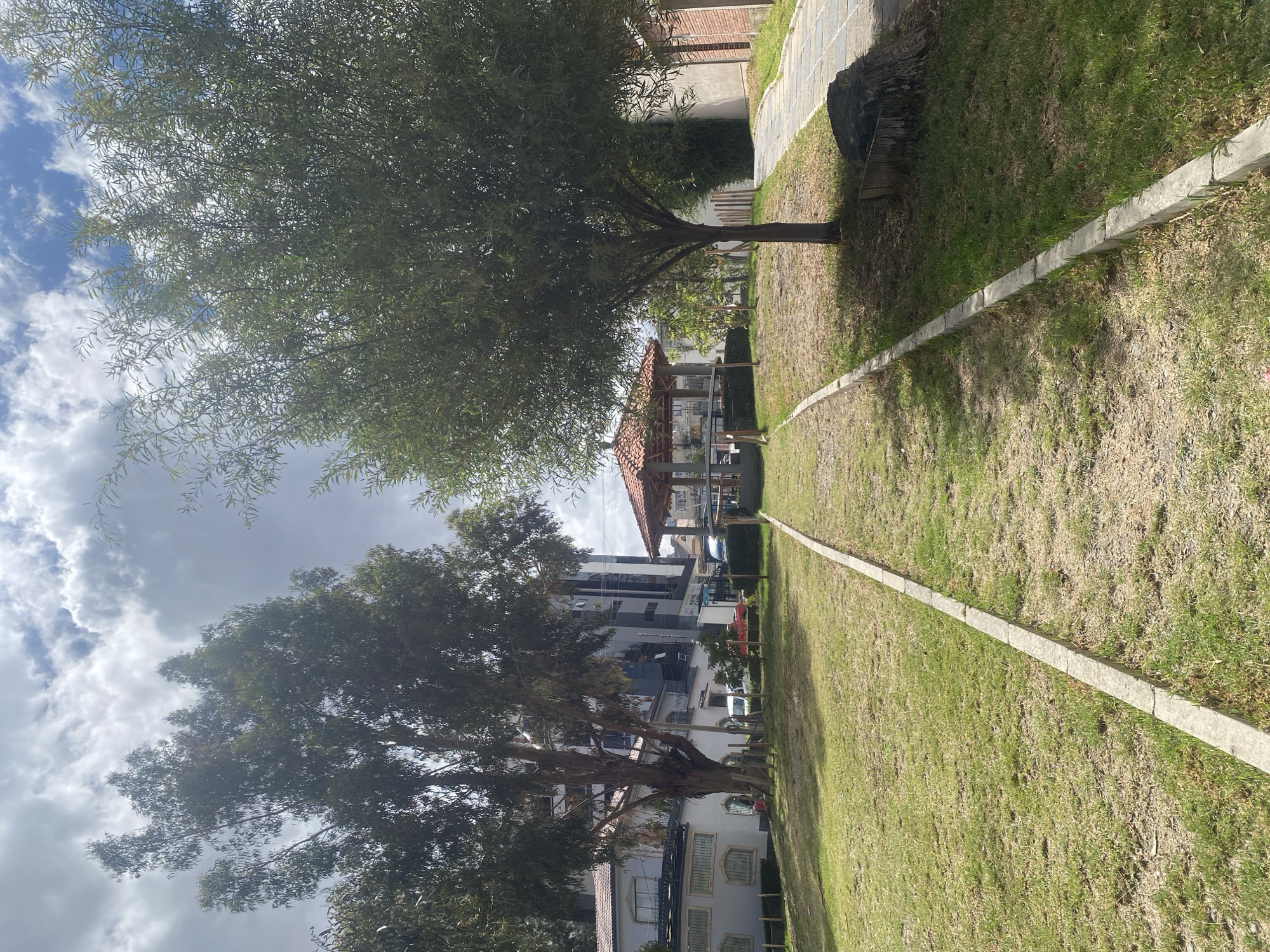 The image captures a sunlit park or green space in what appears to be an urban environment, under a partly cloudy sky. The scene is static, with no discernible human activity.
In the foreground and extending through the lower half of the frame, a grassy area is visible, traversed by a long, straight concrete border or path. Some sections of the grass appear green, while others are drier and more sparsely covered. To the far right, a stone-paved path runs alongside the grass. Shadows from the trees are cast across the ground, indicating bright daylight, likely late morning or early afternoon.
Two large trees are prominent features of the landscape. On the left side, a tree with slender, light green leaves and a visible trunk anchors the mid-ground. Its branches reach towards the sky, partially obscuring the blue and white clouds. Further back and to the left, another mature tree with dense, dark green foliage and a sturdy trunk stands tall, its upper branches also meeting the cloudy sky.
Between and beyond these trees, various man-made structures are visible. A small, open-sided structure with a reddish-brown, possibly terracotta, tiled roof (resembling a gazebo or pavilion) is situated in the mid-ground. Behind it, a modern multi-story building with reflective glass facades stands out, flanked by other, more traditional residential or commercial buildings. Hints of a street with parked vehicles can be seen in the background.
The sky above is a mosaic of bright blue patches and white, fluffy cumulus clouds. No legible text is visible in the image. The setting is indicated by the user as La Paz, Bolivia.