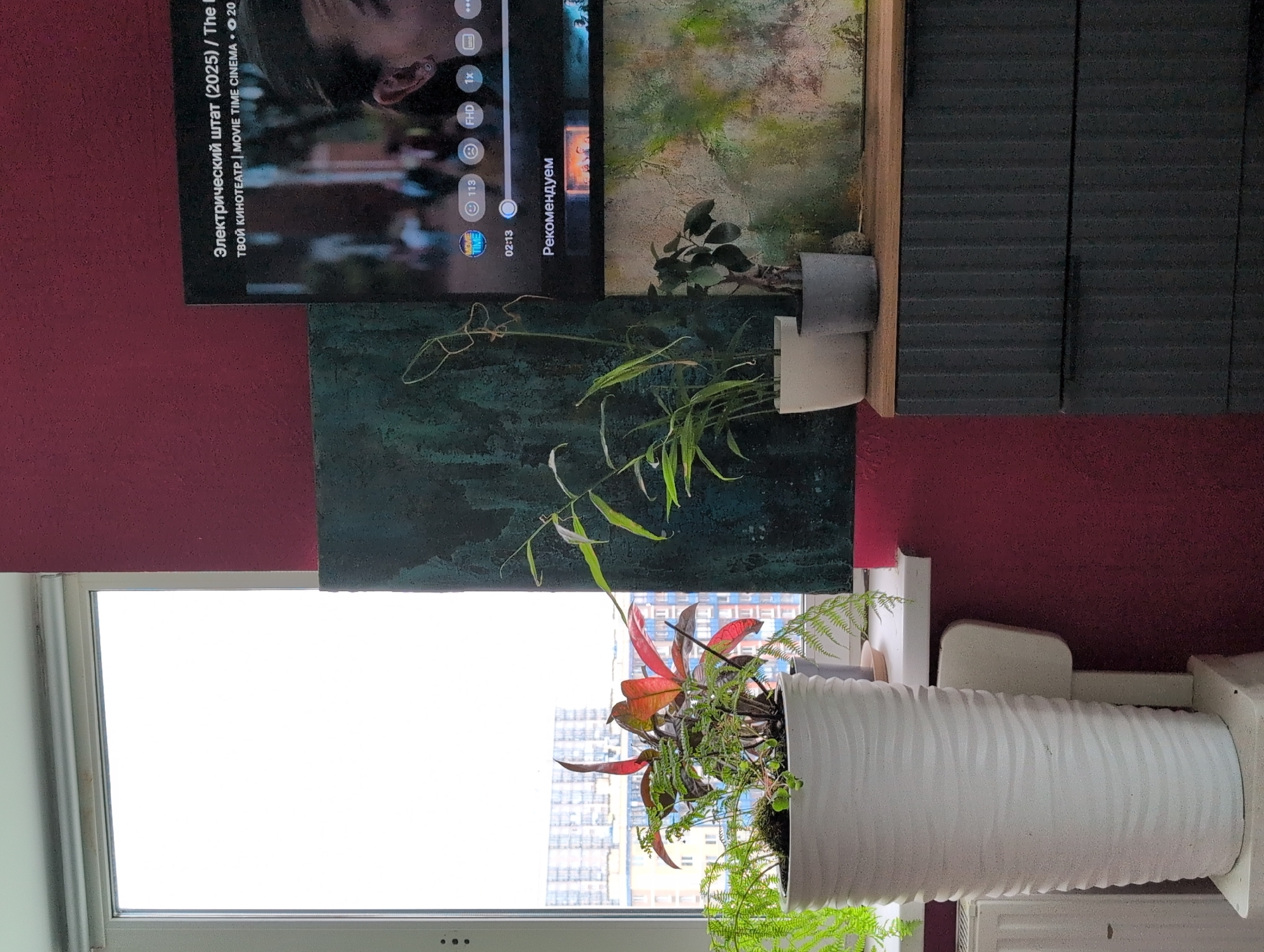 A television screen displays a movie poster and playback information, with a progress bar showing "02:13" and the text "Рекомендуем" (Recommended) below. To the left of the screen, two framed artworks are mounted on a textured, deep green wall. In front of these, a wooden dresser with a ribbed facade and a light wood top holds three potted plants. The leftmost plant is in a large, white, ribbed cylindrical pot, featuring a mix of green ferns and a plant with red and green leaves. A smaller plant with long, thin green leaves is in a white pot, and a dark green plant with small leaves is in a dark gray pot. The scene is set against a window with a white frame, through which a cityscape with multi-story buildings is visible. The walls in the foreground are a deep crimson color. A white radiator is partially visible on the left side of the frame, beneath the window. The scene appears to be an indoor residential setting. The location is not discernible from the image.
