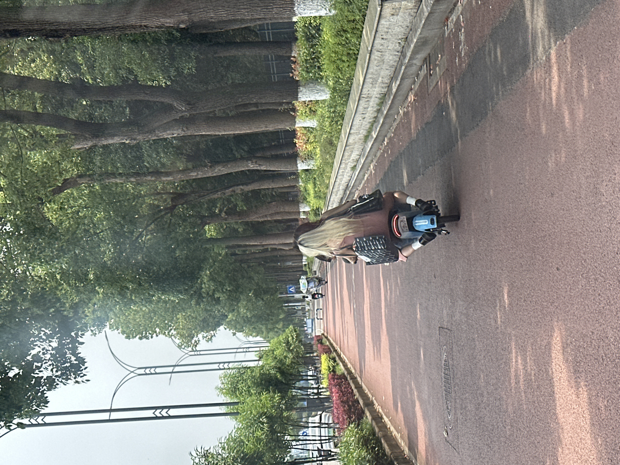 The image depicts an outdoor scene on a clear day, likely in the Chongqing High-tech Zone, China. In the foreground, a two-person electric scooter is observed from the rear, traveling on a reddish-brown asphalt path. The person in the passenger position has long, light blonde hair and is wearing a light brown or pink top, with a patterned black shoulder bag resting on their left arm. The driver is mostly obscured. The path extends into the distance, with dappled shadows indicating overhead tree cover.
To the left of the path, a concrete curb separates the path from a landscaped area featuring rows of green bushes and small trees. Beyond this, a wider road is visible with several parked cars. Distinctive streetlights with multiple curved arms line the left side of the scene. Further down the path, another individual on an electric tricycle or scooter is visible, along with a blue road sign displaying a white arrow.
To the right of the path, a low concrete wall or barrier runs parallel, behind which a dense line of tall, mature trees with thick trunks stands. The lower portions of these tree trunks are painted white. Green undergrowth and bushes are present at the base of these trees. The background shows a hazy or overcast sky.