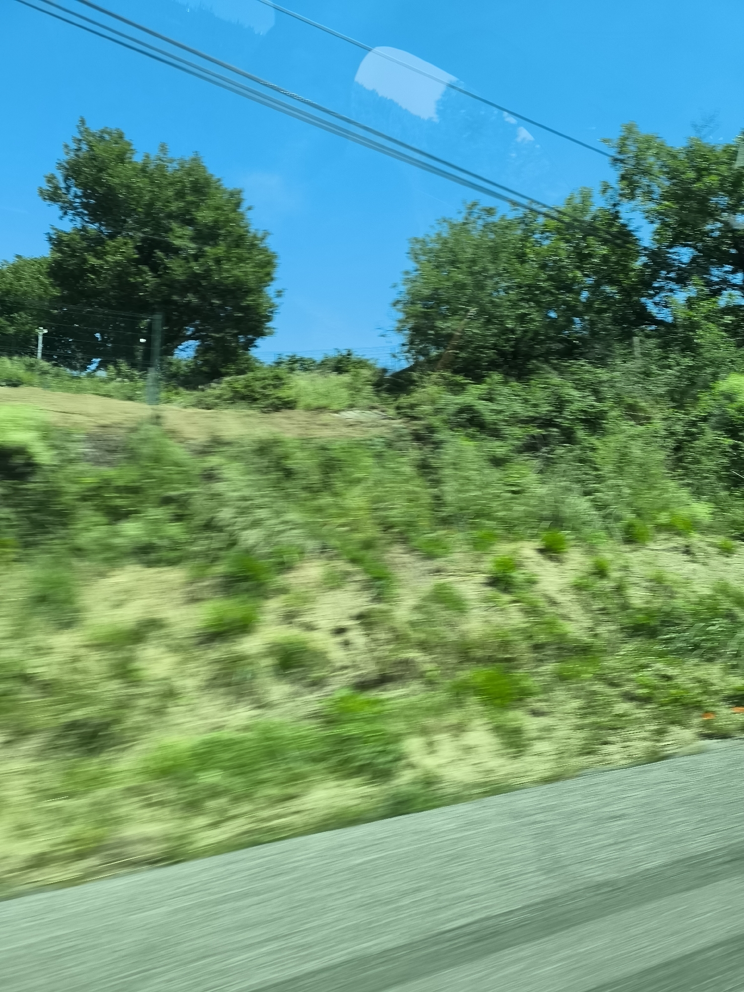 The image, likely taken from a moving vehicle in Chavanay, France, shows a blurry, roadside landscape under a clear blue sky with power lines visible in the upper portion. Vegetation, mainly grass and bushes, covers an embankment. Two large, leafy trees are seen on the crest of the embankment. The bottom portion of the image shows part of the interior of the vehicle, possibly a dashboard or side panel.