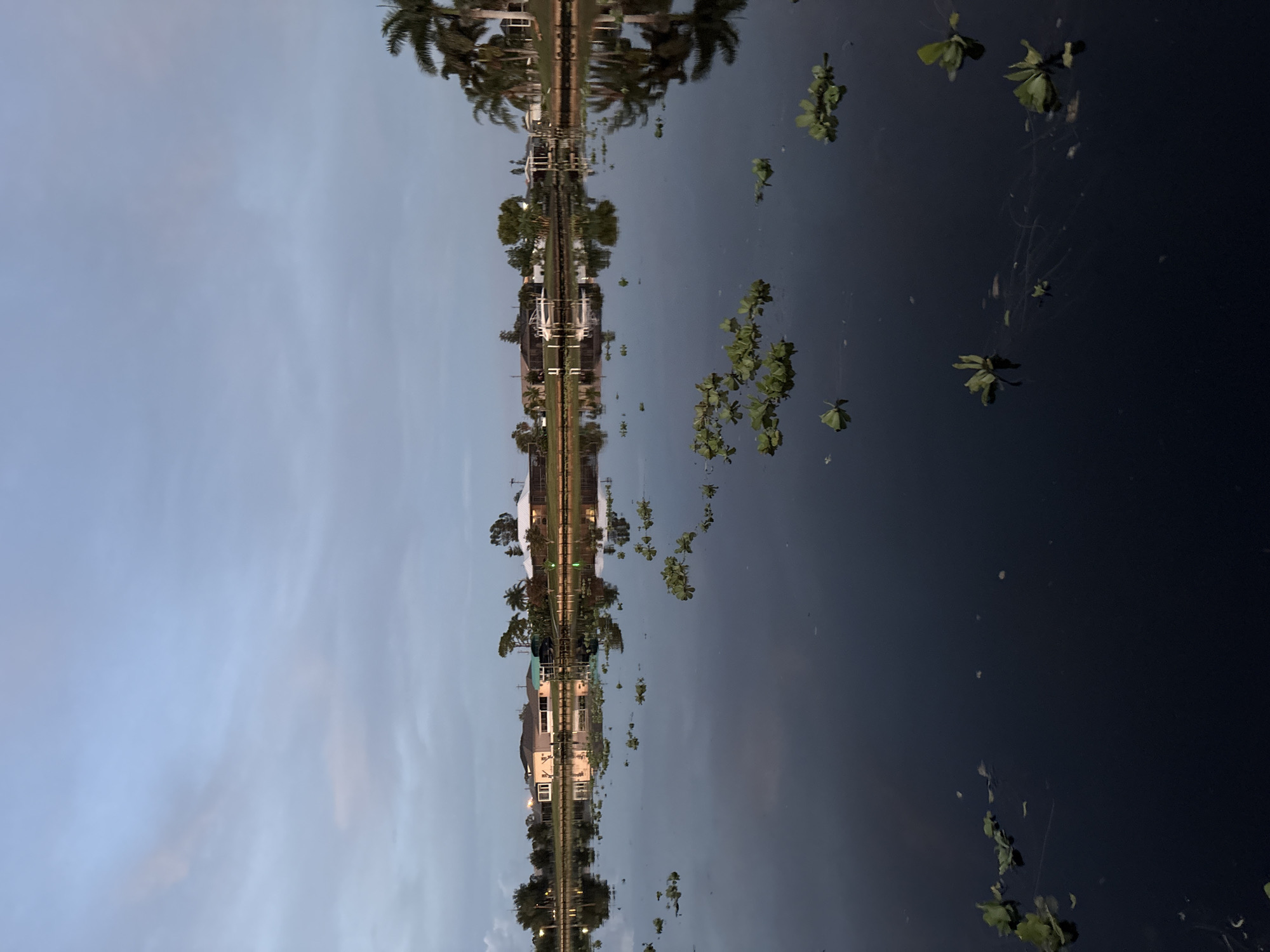 This is a wide-angle, horizontal shot of a still canal in North Port, Florida, United States of America, likely taken at dusk or dawn. The sky is a muted blue with wispy, pale pink clouds, reflecting softly on the dark, glassy water. Along the far bank, a line of single-story houses with tiled roofs are visible, some with their lights on, interspersed with palm trees and other vegetation. Several houses have boats docked in front of them. The reflections of the houses, trees, and sky are clearly visible in the water, creating a symmetrical effect. Scattered across the surface of the canal are clusters of green aquatic plants. The overall scene conveys a sense of tranquility and suburban waterfront living.