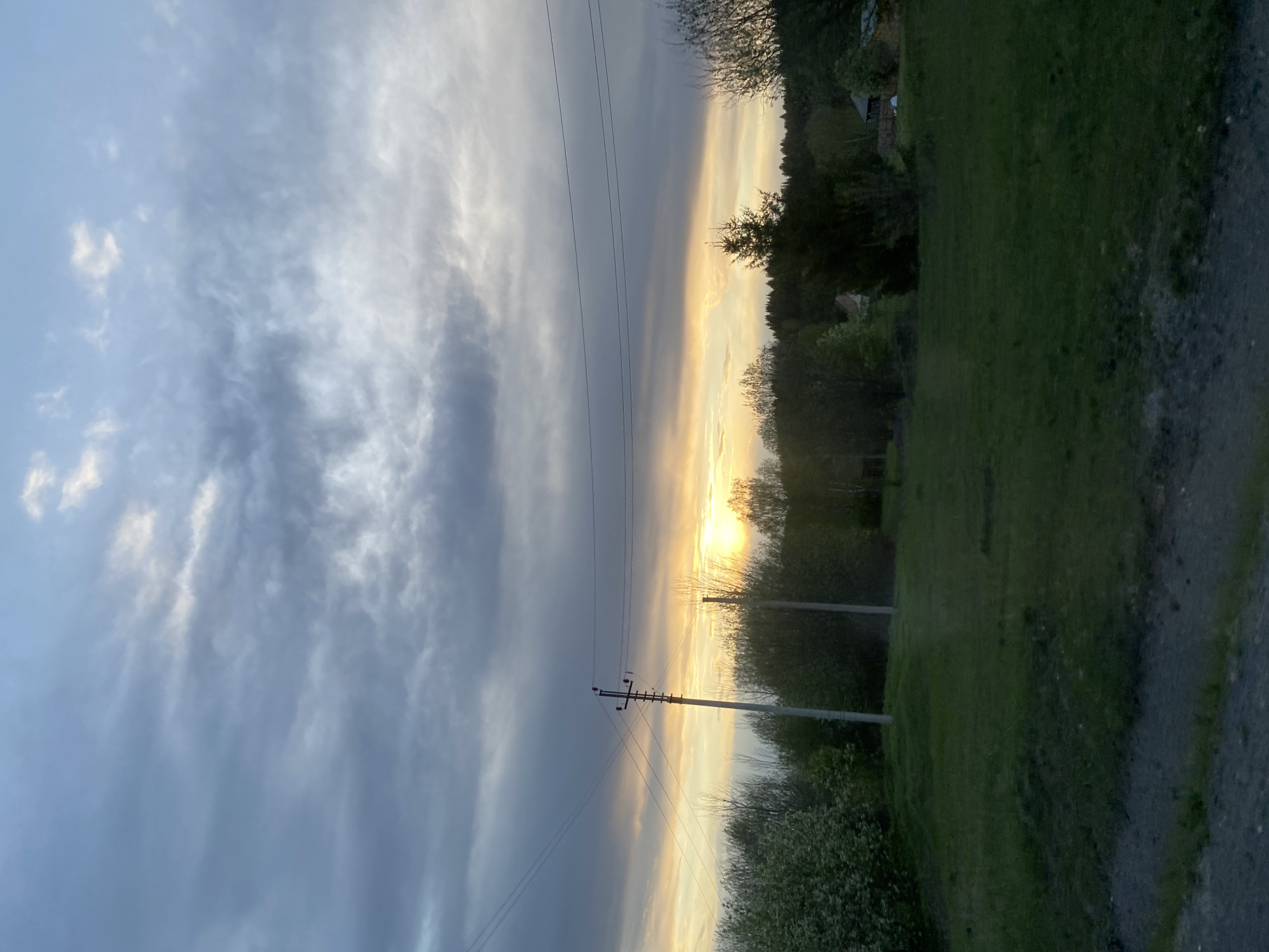 The image shows a landscape in Лесной, Russia at sunset. The sky is partly cloudy with gray and white clouds in the left side of the frame and golden light from the setting sun on the right side. Power lines are stretched across the sky. A power pole stands on the right. Trees and green vegetation are visible on the right side of the frame, bordering a grassy area. A road or path is visible in the lower right corner.