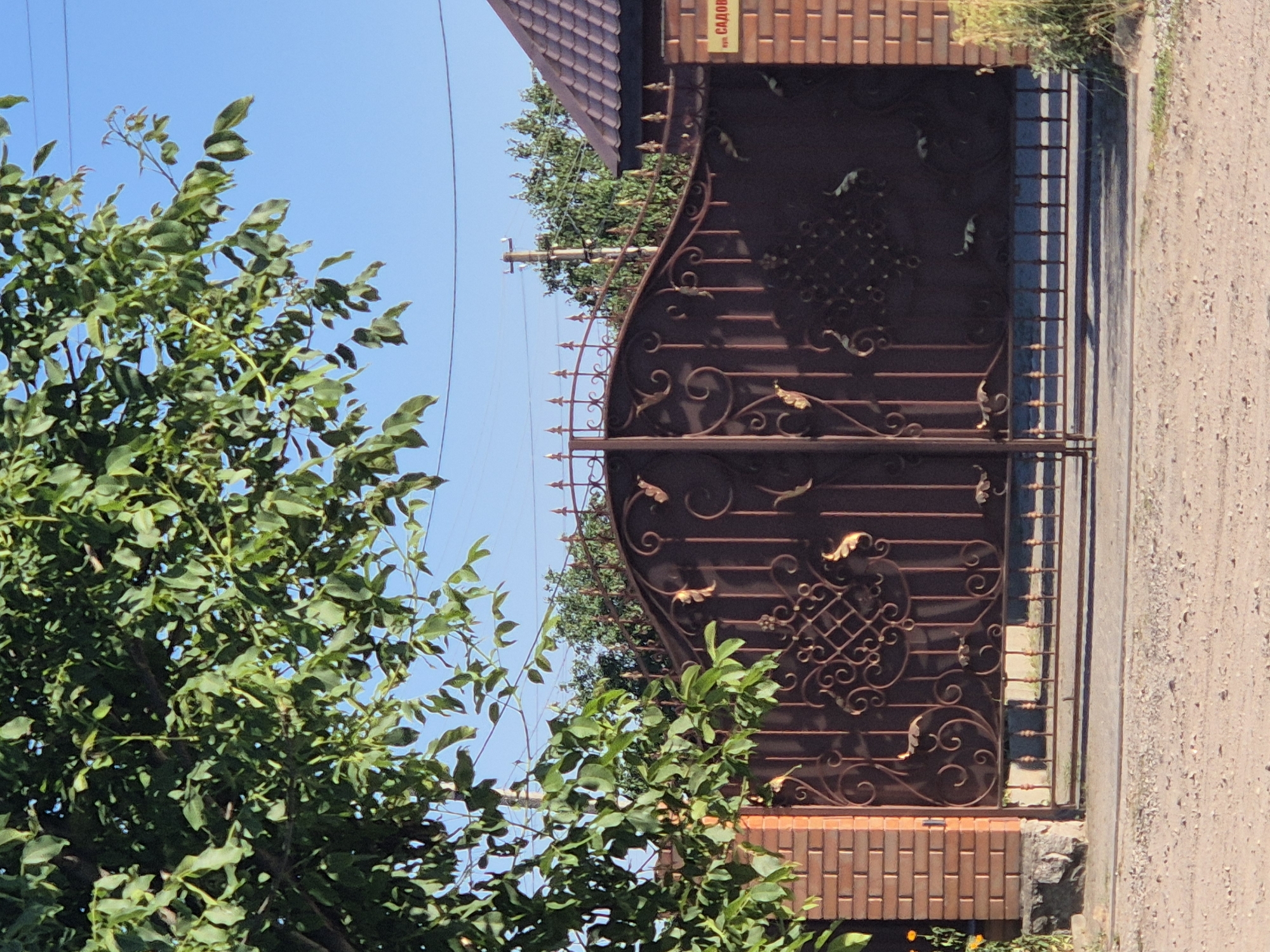 The image shows a wrought-iron gate in the village of Sozonivka, Ukraine. The gate is dark brown and features ornate scrollwork and decorative leaf motifs. It is flanked by a brick pillar on the left and a brick wall with a roofline on the right. A street sign with Cyrillic text is visible on the right brick wall. Overhead, tree branches with green leaves partially obscure the clear blue sky. The ground in front of the gate is a dirt or gravel surface. The scene appears to be an entrance to a property, likely a private residence or a garden.