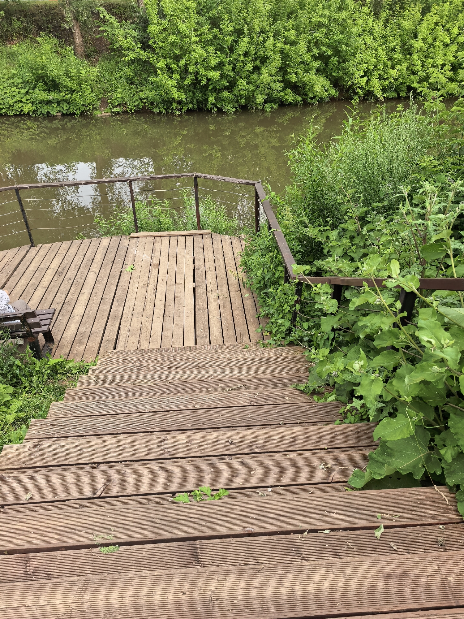 The image depicts an outdoor scene featuring a wooden deck and stairs leading down towards a body of water bordered by lush green vegetation. The deck, constructed from horizontal wooden planks, has a metal railing supported by vertical posts and thin wires. A wooden bench with a dark seat is visible on the left side of the deck. The water appears calm and reflects the surrounding greenery. The vegetation is dense and consists of various types of plants, including large-leafed plants and tall grasses. The overall environment suggests a natural or park-like setting. The specific location in the city of Sterlitamak, Russia, is not discernible from the image itself.
