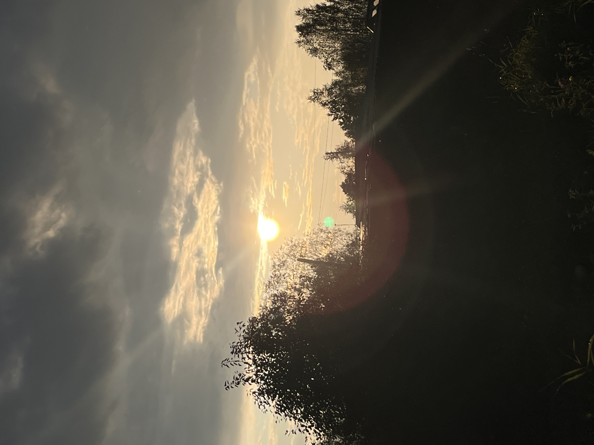 The image depicts a sunset in Nizhny Tagil, Russia. The sky is filled with dramatic clouds, with the sun shining brightly through a gap, casting golden light. Silhouetted trees and vegetation form a dark foreground, with hints of grass and flowers visible at the bottom. A reddish lens flare and a green orb from the sun's reflection are prominent in the image. The scene appears to be set in a rural or suburban area, possibly a garden or yard.