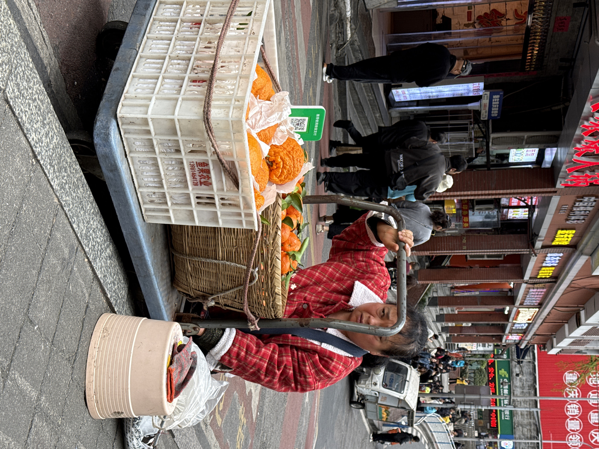 A middle-aged Asian female, dressed in a red and white plaid jacket with a white fleece collar, stands on a grey paved sidewalk, gripping the metal handle of a blue, wheeled pushcart. Her expression is serious. On the cart are a white plastic crate and a woven wicker basket, both filled with oranges/tangerines, some exhibiting a rough, bumpy peel. The white crate bears red Chinese characters "鱼果农业" (Yuguo Agriculture) and the number "13981464128". A green sign with a QR code for payment, reading "微信使用微信支付" (WeChat use WeChat Pay), is affixed to the fruit display. To the right of the cart, a light pink plastic stool holds a pair of red and black patterned gloves and a white plastic bag.
The scene is an urban street in Yuzhong District, Chongqing, China. In the background, pedestrians walk on the sidewalk and a slightly elevated concrete roadway. Storefronts line multi-story buildings. On the left, a building with a reddish-brown facade features signs with red Chinese characters, including "红辣椒" (Red Chili) and "中国福利彩票" (China Welfare Lottery), alongside a vertical sign stating "我在重庆等你" (I'm waiting for you in Chongqing). On the right, a building displays a large red banner with white Chinese characters "重庆销量领先" (Chongqing sales leader) and a green sign for "中国邮政储蓄银行" (Postal Savings Bank of China). A small, white, three-wheeled cargo vehicle is visible further down the street, appearing to function as another mobile vendor.