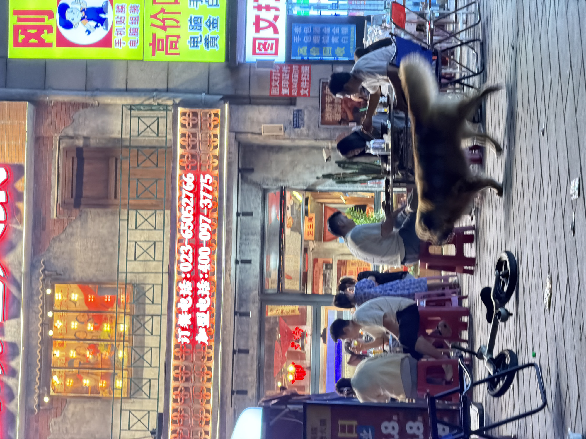 The image shows a bustling street scene in Chongqing High-tech Zone, China. Several people are seated on small red plastic stools at outdoor tables, likely dining or socializing. A large, blurry dog appears to be moving quickly near the tables. Various signs in Chinese characters adorn the buildings, including one that reads "订餐电话:023-65052766" and "订餐电话:400-097-3775" (Order Telephone), suggesting a restaurant. Another sign advertises "黄金" (Gold). A child's tricycle is parked on the sidewalk.