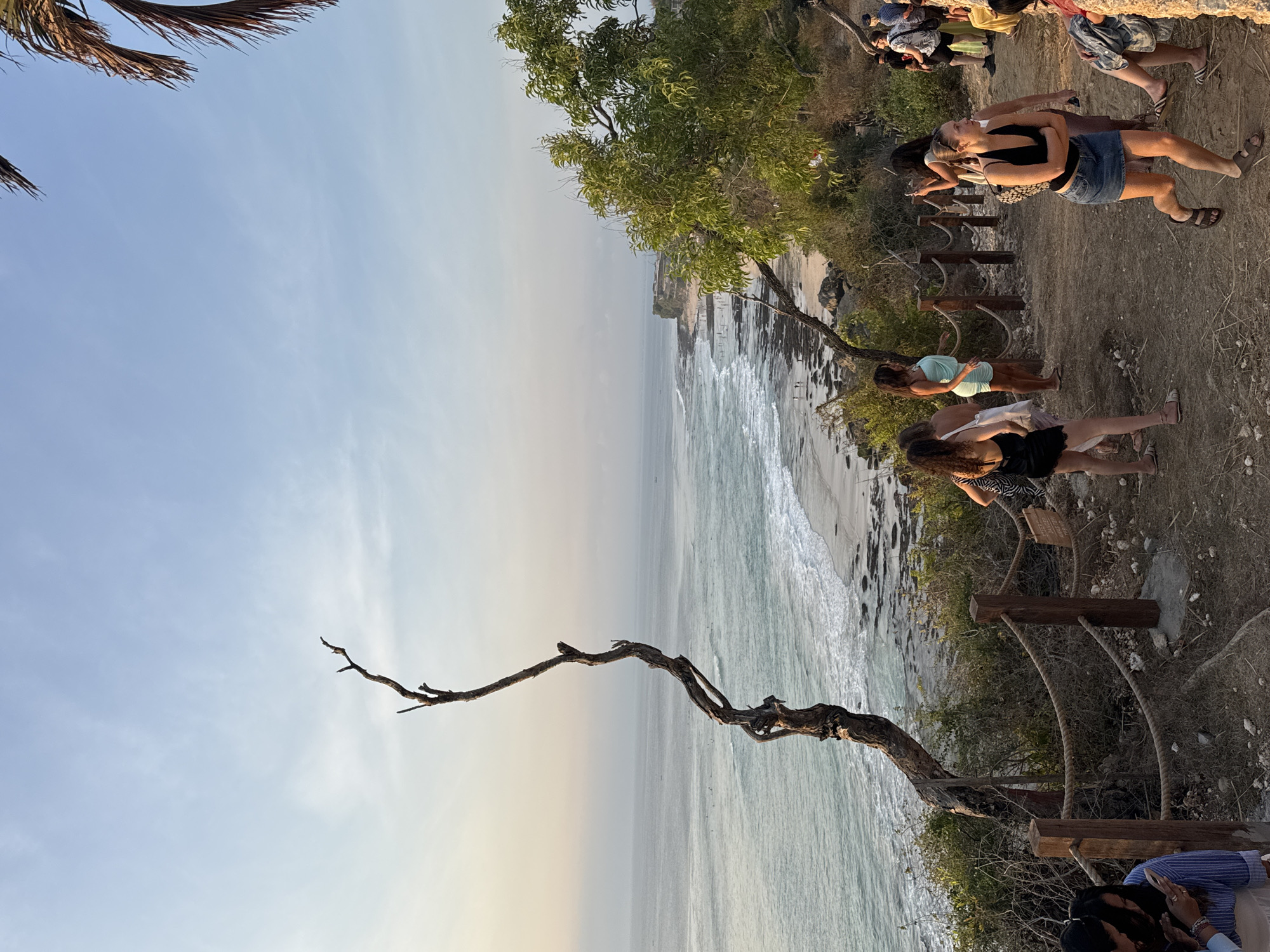 The image depicts a scenic view of a coastline, likely in Kuta Selatan, Indonesia, during what appears to be late afternoon or early evening. A dramatic, gnarled dead tree stands prominently in the foreground, silhouetted against a pale blue sky with wispy clouds. To the right, a lush green tree with delicate leaves partially frames the scene.
Below the cliff where the tree stands, a sandy beach stretches along the ocean. Gentle waves with white crests break on the shore, and the ocean extends to a hazy horizon. Small figures, presumably people, are visible on the beach and in the water, some engaging in surfing.
On the path leading down to the beach, several individuals are gathered. A group of women are walking and standing, some looking at their phones, others in conversation. One woman in a black top and denim skirt is captured mid-stride, while another in a light blue dress stands near a wooden fence. A man in a white shirt and dark shorts is visible further back. The path is lined with a rustic rope fence, adding to the natural, informal atmosphere of the location. The ground is a mix of dirt and scattered stones.