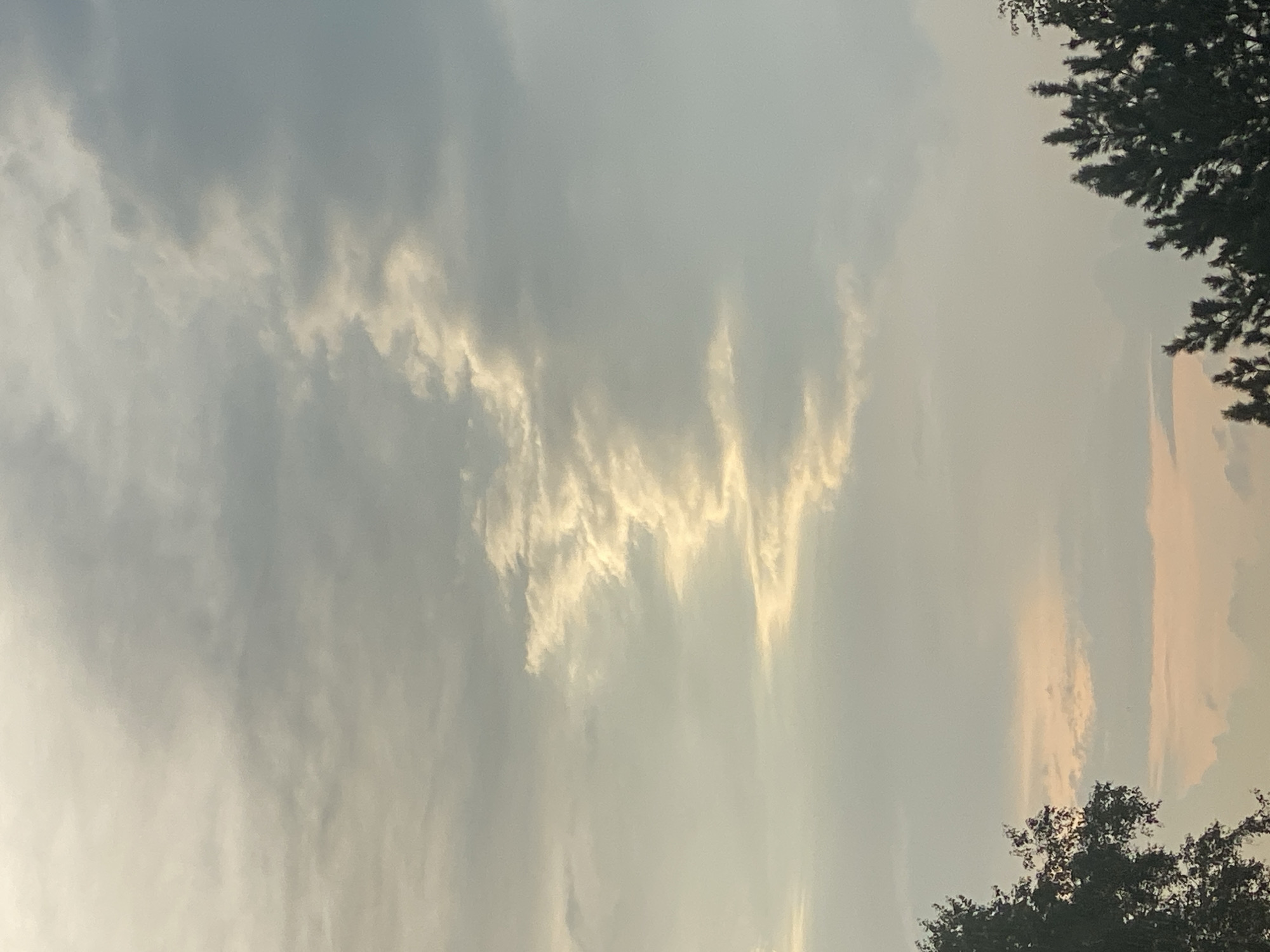 The image depicts a cloudy sky with a distinct, illuminated cloud formation that resembles a winding path or a zigzagging line. This unusual cloud is highlighted by sunlight filtering through the surrounding gray clouds. In the lower portion of the image, the silhouettes of trees are visible, with dark green foliage against a muted sky that has hints of pink and orange, suggesting either dawn or dusk. The scene appears to be an outdoor environment, likely a park or a residential area, with trees framing the bottom of the sky. There are no people or specific landmarks visible that would pinpoint a location within Novokuznetsk, Russia.