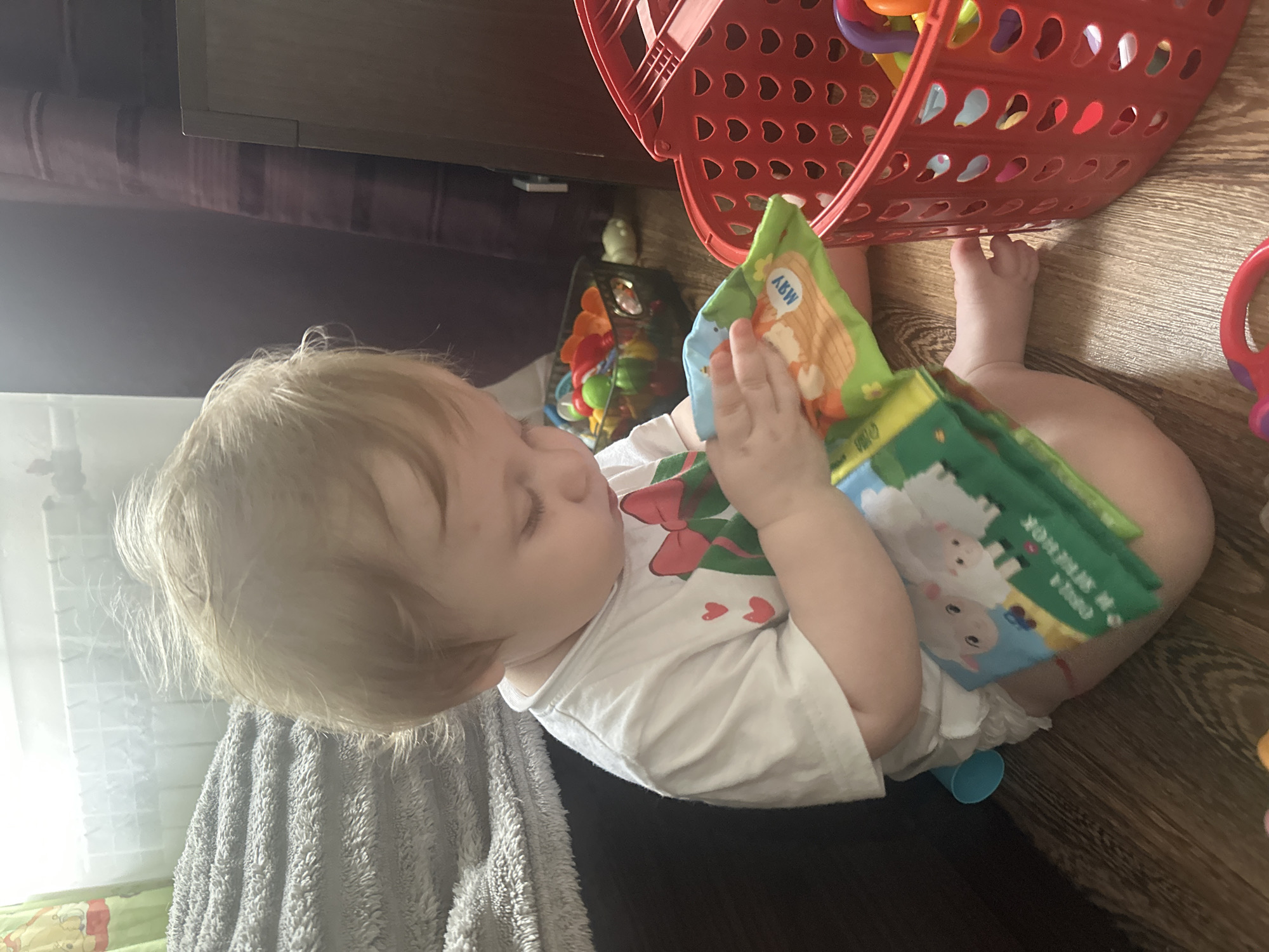 A blonde toddler, wearing a white t-shirt with a red bow graphic and two small red hearts, is sitting on a wooden floor, engrossed in a colorful soft book. The book features illustrations of sheep and other characters. To the right of the toddler is a bright red plastic basket filled with various toys, including a ring toy and other colorful objects. In the background, to the left, a gray, fuzzy blanket is draped over furniture, and a window with a radiator is visible. To the right, a dark wooden dresser or cabinet stands beside a purple curtain. The scene appears to be indoors, likely in a child's play area. The image does not provide any specific geographical markers to indicate the location within Sayanogorsk, Russia.