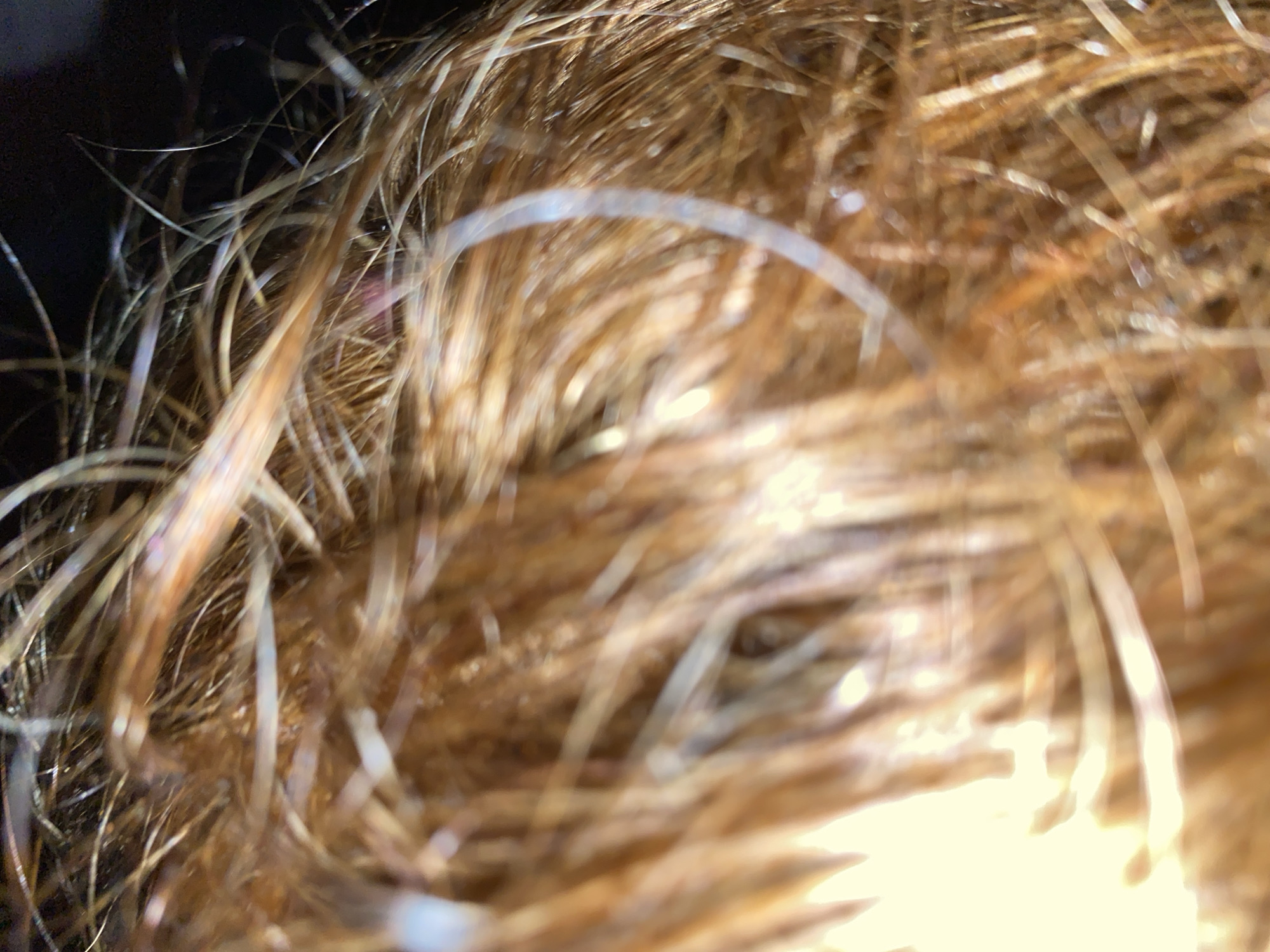 The image is a very close-up, macro shot of human hair. The hair appears to be a light brown or reddish-brown color, with some strands catching the light and appearing lighter or almost white. There are also some very thin, almost transparent strands visible, which could be flyaways or very fine hairs. The focus is very shallow, with parts of the hair being sharp and in focus, while other areas are blurred and out of focus. The lighting creates highlights and shadows within the hair, giving it a dynamic texture. The background is dark and indistinct, suggesting it might be out of focus or a dark surface. There are no people, objects, or environmental details visible that would indicate a specific location within the city of Wumat, Nigeria, or any other location. The image solely focuses on the texture and color of the hair itself.