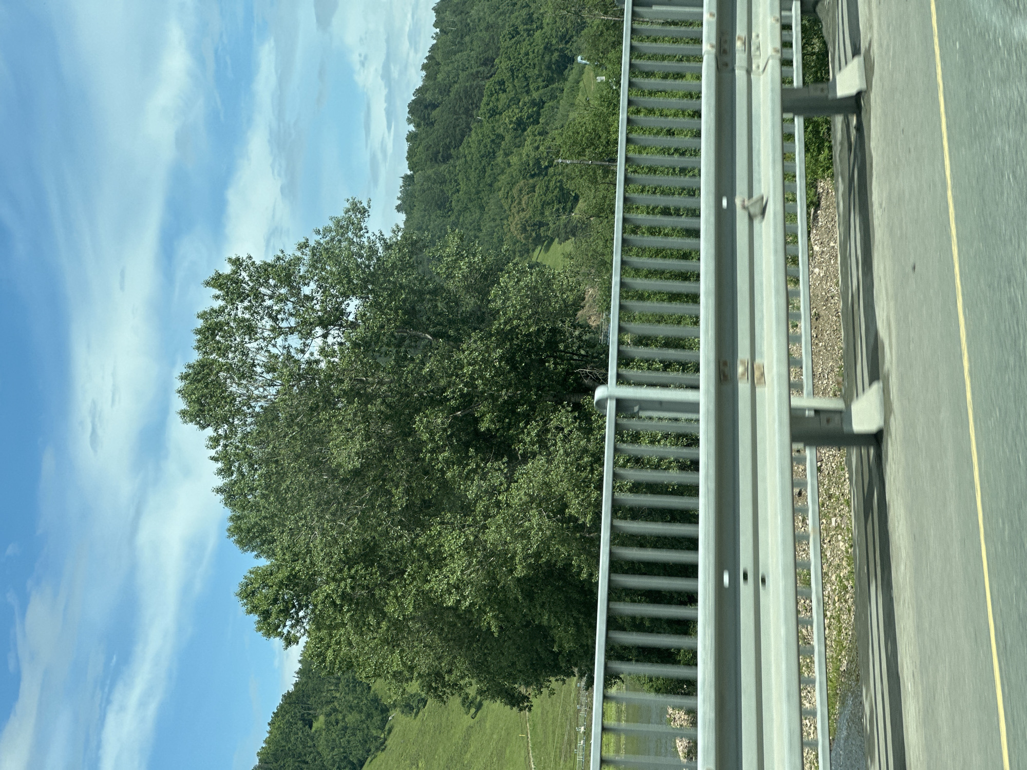 The image shows a view from a bridge over a body of water in Усмангали, Russia. In the foreground, a metal guardrail runs horizontally across the frame. Beyond the guardrail, lush green trees and rolling hills covered in vegetation dominate the landscape. The sky above is a bright blue with scattered white clouds. The scene appears to be a natural landscape, possibly a park or a scenic route, with no people visible in the frame. The overall impression is one of a serene and natural environment.