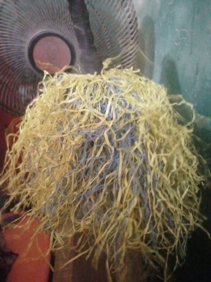 The scene depicts a static, close-up view of a tangled, textured mass composed of thin, shredded strips of material, predominantly light yellow with interspersed light blue strands. This mass occupies the central and foreground portions of the frame. In the background, to the upper left, a portion of a dark-colored oscillating fan's protective grille and central hub is visible. The fan's hub is reddish-brown. To the right of the central mass, a muted green wall is partially visible. The lighting is dim. No individuals, explicit actions, or interactions are discernible. The location of this scene is Magboro, Nigeria.