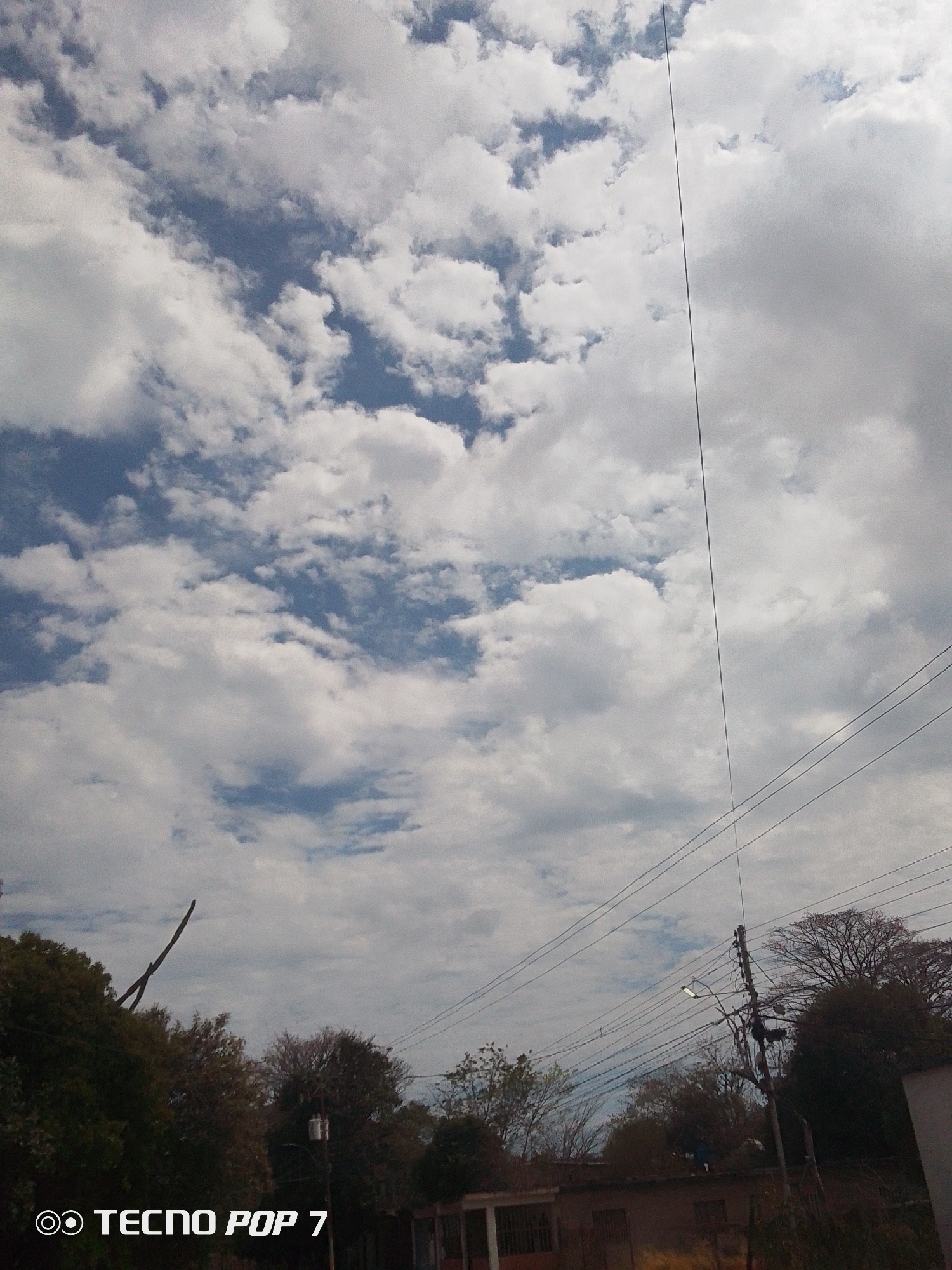 The image captures an outdoor scene in Altagracia, Venezuela, dominated by a dynamic sky and overhead utility lines. The upper two-thirds of the photograph showcase a partly cloudy sky, featuring white and light gray cumulus clouds interspersed with patches of clear blue.
On the right side of the frame, a prominent utility pole is visible, supporting multiple power lines and utility wires that stretch horizontally across the middle ground. A single, very thin dark line, possibly a wire or antenna, extends vertically from the pole towards the top of the image. A street light is also attached to the utility pole. Near the base of this pole, a small, dark, indistinct figure is discernible, possibly a person.
Below the sky and wires, the scene reveals the tops of residential buildings with earthy-toned roofs. The lower left and right portions of the image feature various trees; some have green foliage, while others appear more barren. A distinctive large, dark, Y-shaped branch or structure points upwards from the dense vegetation in the lower-left quadrant.
The scene depicts a bright daylight hour with fair, partly cloudy weather. The visible text watermark "TECNO POP 7" is present in the bottom-left corner of the image. The overall impression is that of a typical urban or semi-urban landscape, characterized by infrastructure and natural elements.