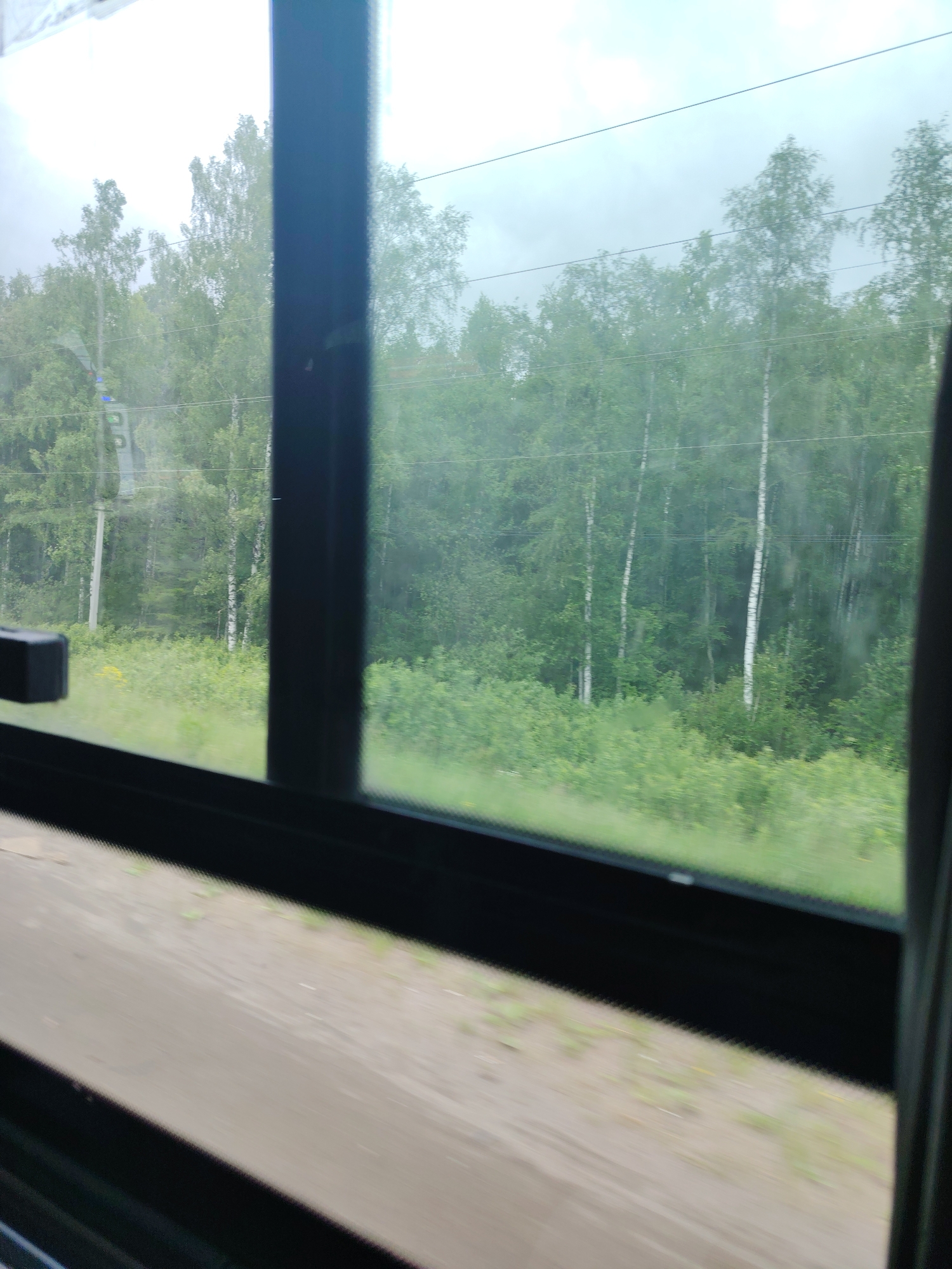 The image displays a view from inside a moving vehicle, looking out through a window. A dark window frame is visible in the foreground, with a prominent vertical bar on the right side and a partial horizontal bar at the bottom. A black, indistinct object, possibly part of the vehicle's interior, is visible in the bottom-left corner.
Outside the window, a natural landscape unfolds. The immediate ground level, visible beneath the vegetation, consists of a light brown or tan surface, likely dirt or an unpaved area, exhibiting motion blur. Above this, a dense layer of vibrant green undergrowth and bushes fills the mid-ground.
In the background, a forest of deciduous trees dominates the scene. Several trees with distinct white bark, characteristic of birch trees, are interspersed among other green-leafed trees. Thin, dark horizontal lines, consistent with utility wires, traverse the upper portion of the forested area. On the far left, a utility pole is visible, bearing a faded or partially obscured marking that appears to be "3 B" or similar alphanumeric characters. The sky above is uniformly overcast and light grey, suggesting a cloudy day without direct sunlight. No individuals or specific landmarks identifying the city of Chaikovsky, Russia, are discernible within the frame. The scene is characterized by motion blur, particularly in the lower half, indicating ongoing movement of the perspective from which the photograph was captured.