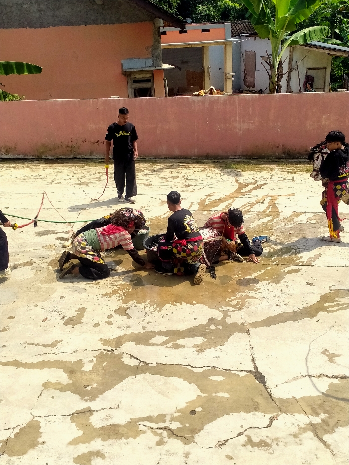 The image displays an outdoor scene in Tawangsari, Indonesia, on a cracked, light-colored concrete surface covered with numerous wet patches. Five individuals are present. In the background, a light pink concrete wall separates the foreground from residential buildings featuring tiled roofs and dense green foliage, including banana trees.
A male individual stands centrally in the background, dressed in a black t-shirt with a yellow graphic and black pants, holding a reddish-brown whip in his right hand. A green garden hose lies on the ground to his left.
In the mid-ground, three individuals are positioned on or near the ground. Two are kneeling around a dark bucket. The individual on the left wears a multi-striped shirt (red, white, green) and dark pants, leaning over the bucket. The individual on the right, with their back to the viewer, wears a black t-shirt with a design and a patterned lower garment, also leaning into the bucket. Partially obscured between these two kneeling figures is a third individual lying prostrate on the ground, dressed in a patterned garment resembling a Kuda Lumping (horse dance) costume.
On the far right, a fifth individual stands partially cropped, attired in a black top with colorful embroidery and red and yellow patterned pants. This individual holds a decorative object, possibly a horse effigy, against their chest. The concrete ground around the central group exhibits prominent splashing and puddles of water.