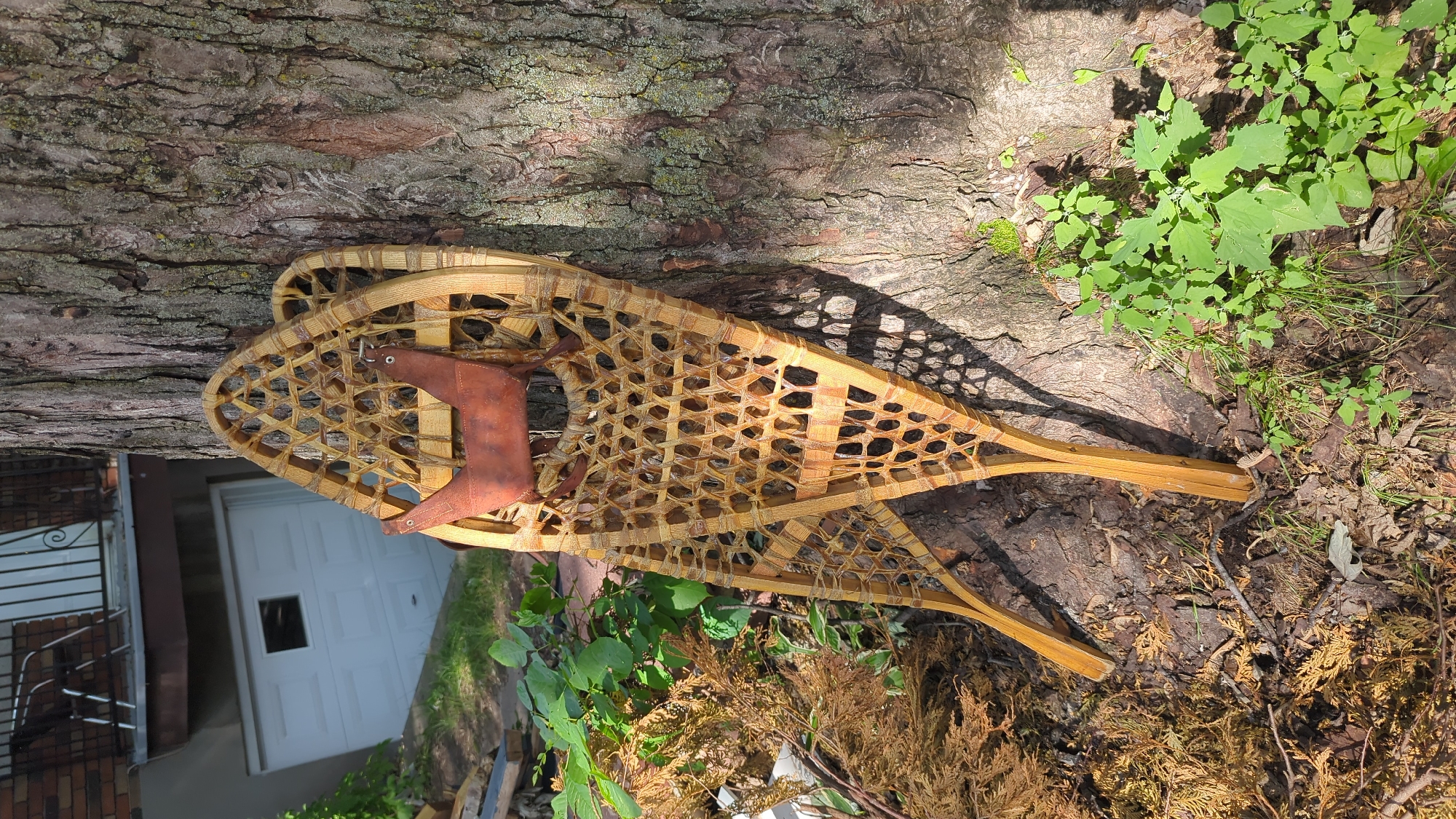 Two wooden snowshoes, one partially obscuring the other, lean against the rough bark of a large tree. The snowshoes have a traditional woven lattice design and are adorned with a brown leather strap that appears to be a deerhide binding. The leather strap is attached to one of the snowshoes with metal grommets. The snowshoes are positioned in an outdoor setting, with dry, brown foliage and green plants visible on the ground at the base of the tree. In the background, out of focus, is a white garage door with a small square window, and a balcony structure with railings and brickwork. The lighting suggests it is daytime, with shadows cast by the snowshoes and tree. The overall impression is one of rustic charm and perhaps a historical display or storage arrangement. The scene does not explicitly indicate it is in Montreal, Canada.
