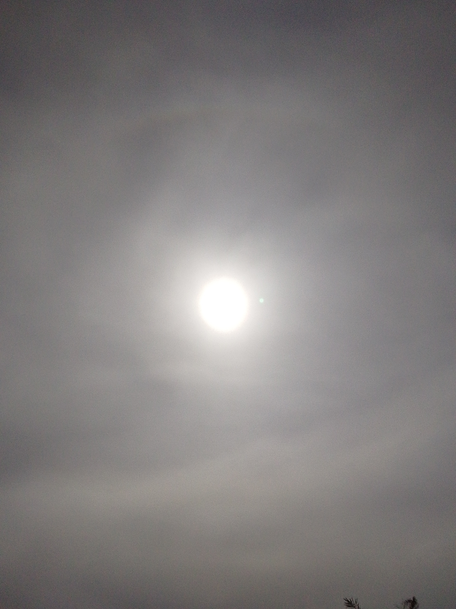 The image shows a bright white sun in the sky, partially obscured by clouds or haze. A faint halo surrounds the sun. The overall lighting suggests daylight. The bottom edge of the image shows a silhouette of some vegetation, possibly trees or branches, against the lighter sky. The scene is consistent with an outdoor environment, possibly a park or open space, given the presence of vegetation. There are no people or specific structures visible to identify a precise location within Serti, Nigeria, beyond it being an outdoor, daytime scene.