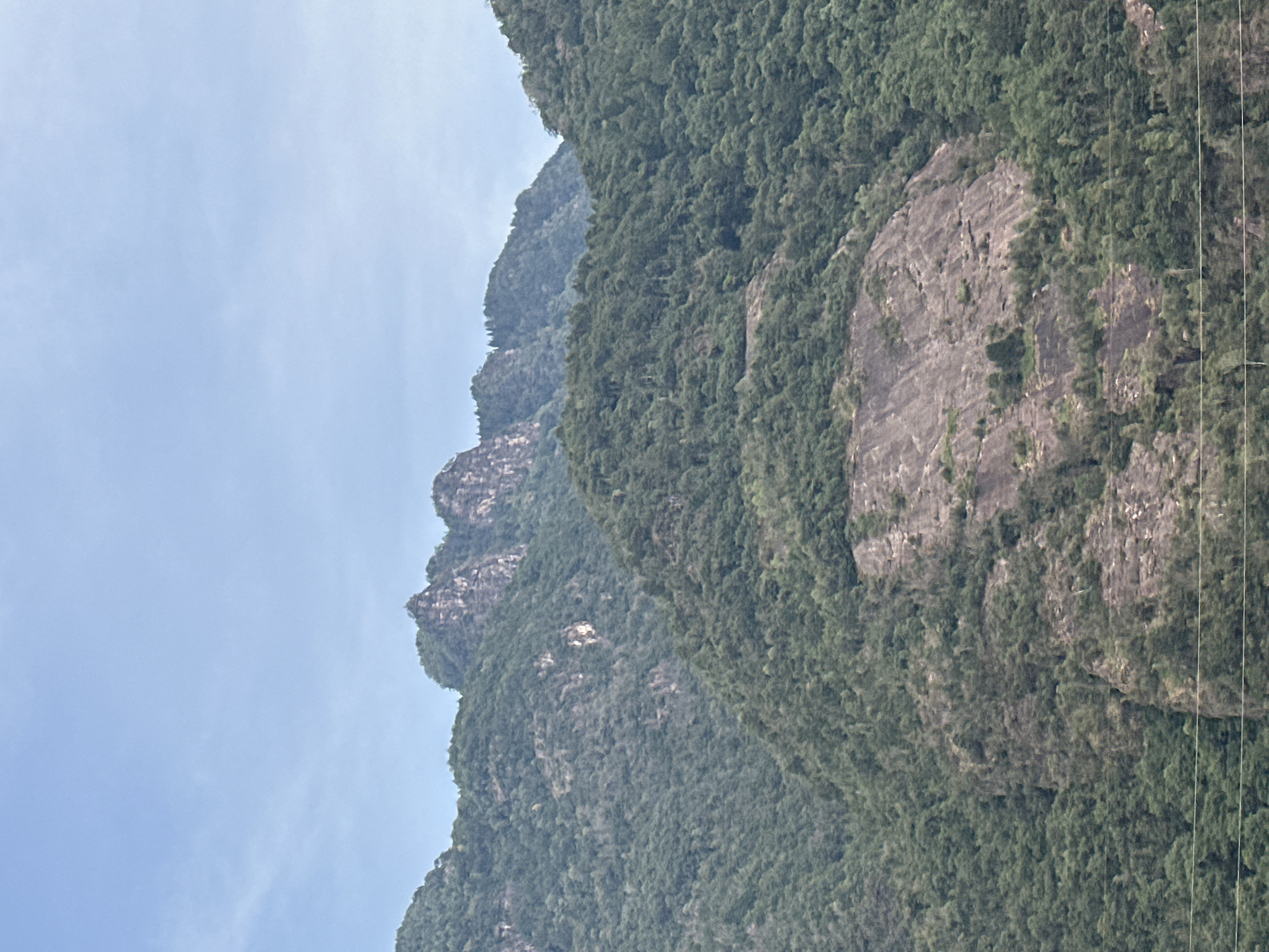 The image depicts a mountain landscape under a clear blue sky. The foreground shows a glimpse of some thin, horizontal wires, possibly power lines, running across the bottom. The middle ground is dominated by lush green, densely forested mountains, with a prominent rocky, barren section in the center, appearing as a lighter patch against the foliage. The background features more forested mountains, with jagged, rocky peaks rising in the distance. The scene suggests a natural, mountainous environment, likely outside of a dense urban area. There are no people, animals, or visible structures other than the implied infrastructure of the power lines. The lighting indicates it is daytime, with the sun likely overhead or slightly to the side, casting diffused light on the scene. The location is identified as Esine, Italy, suggesting a mountainous region within that Italian commune.