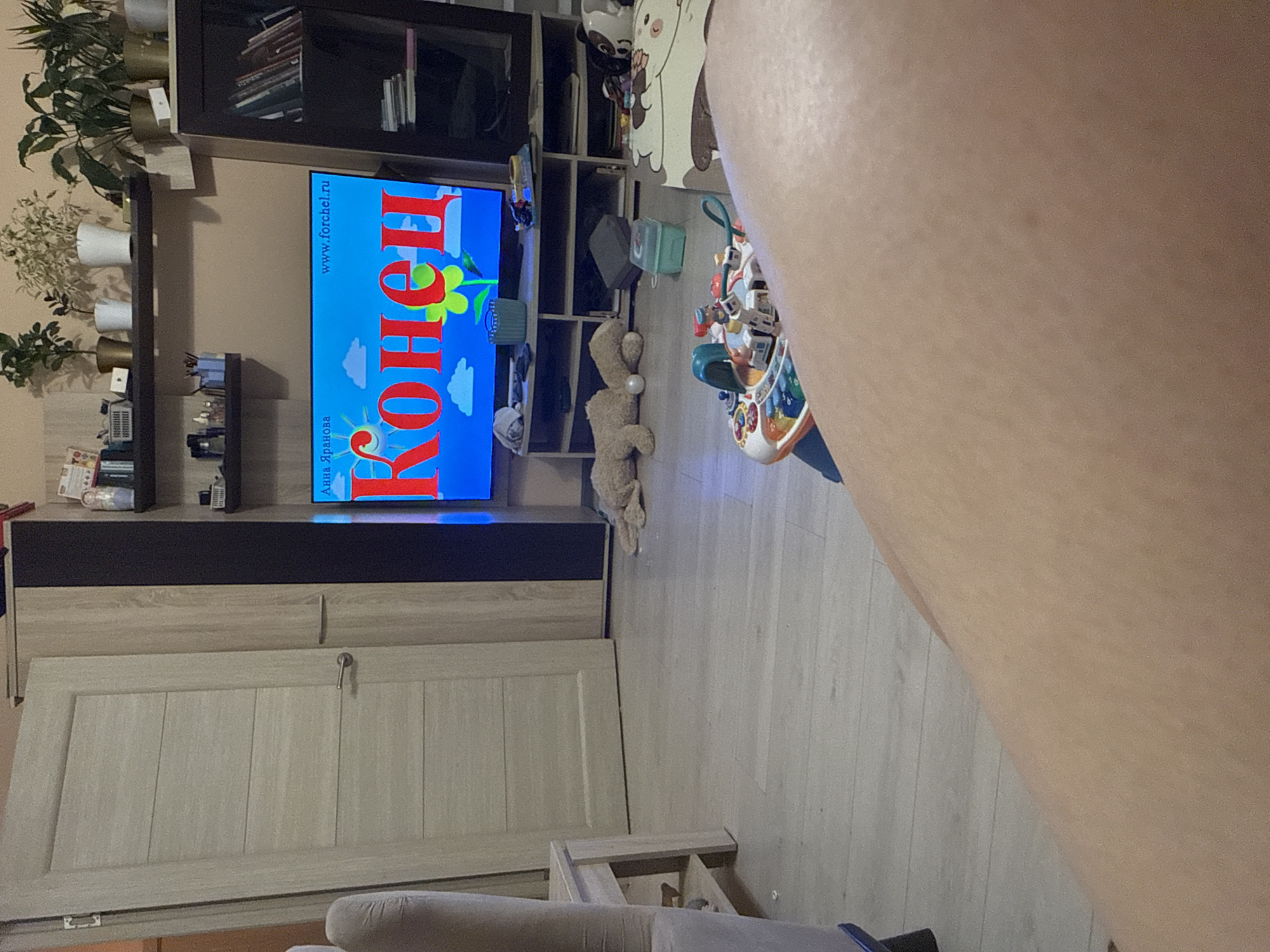 Here is a detailed description of the image:
**Setting:** An indoor room, possibly a living room, with light wood-look flooring. The location is inferred to be in Tobolsk, Russia based on text displayed on the television.
**Objects and Features:**
* A flat-screen television displaying a cartoon in Russian.
* A tall shelving unit next to the television, with books and other items.
* Potted plants on a shelf above the television.
* A child's toy on the floor.
* A stuffed animal on the floor.
* A couch or chair in the foreground with a neutral color upholstery.
* A light-colored door with a handle.
**People:** Only the partial, blurred view of a person's arm or leg is visible.
**Actions/Interactions:** The television is on, displaying a cartoon.
**Environment:** The room appears to be tidy and well-lit.