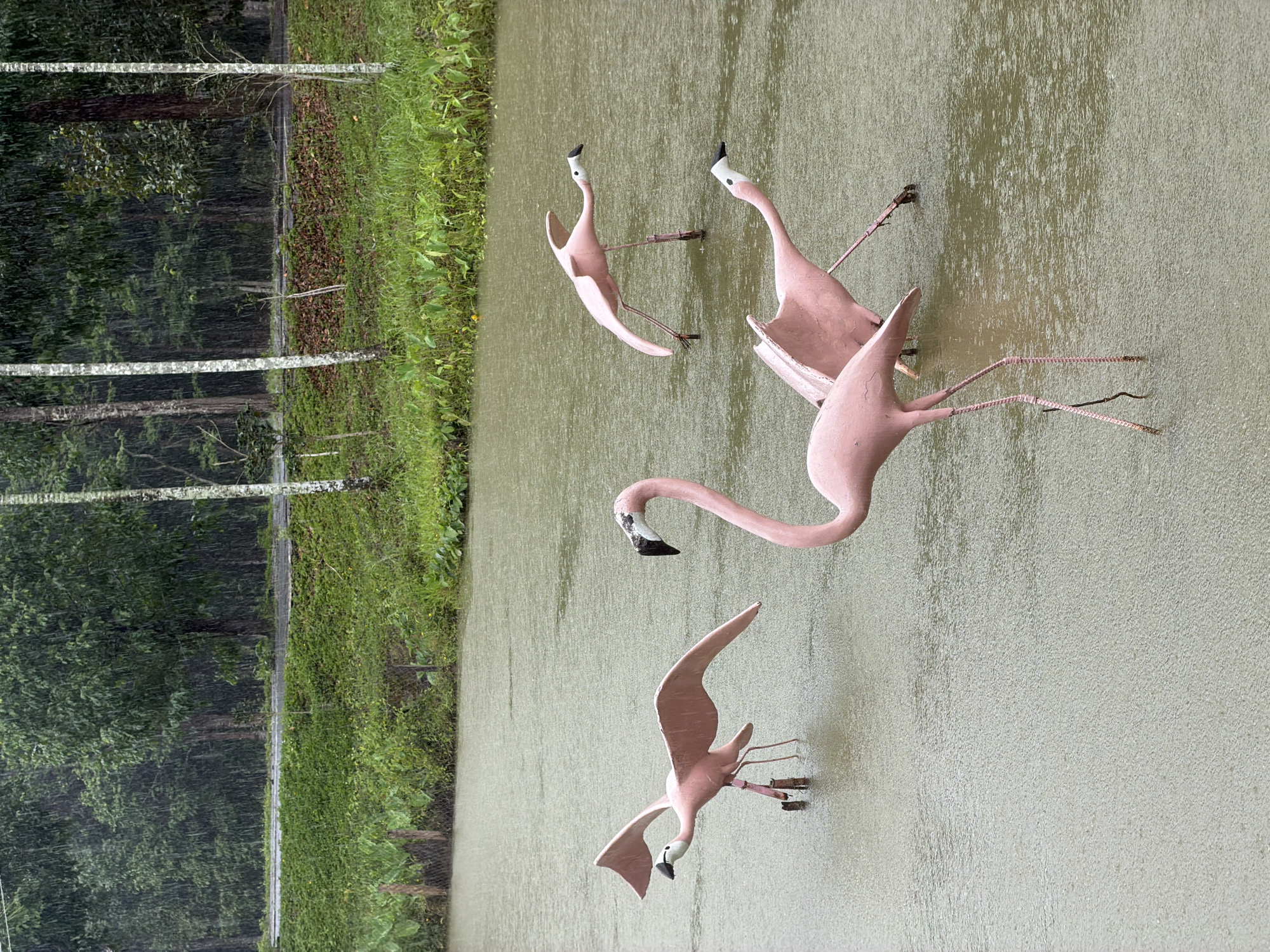 The image depicts four pink flamingo sculptures standing in a body of water. The sculptures are positioned at varying distances and angles, with one in the foreground facing right, and three others further back. The water is calm, with ripples suggesting rainfall. The background features a dense line of trees, with some lighter-barked trees in the foreground and middle ground. The overall scene is overcast and appears to be experiencing rain. The location is identified as Khanh Vinh city, Vietnam.