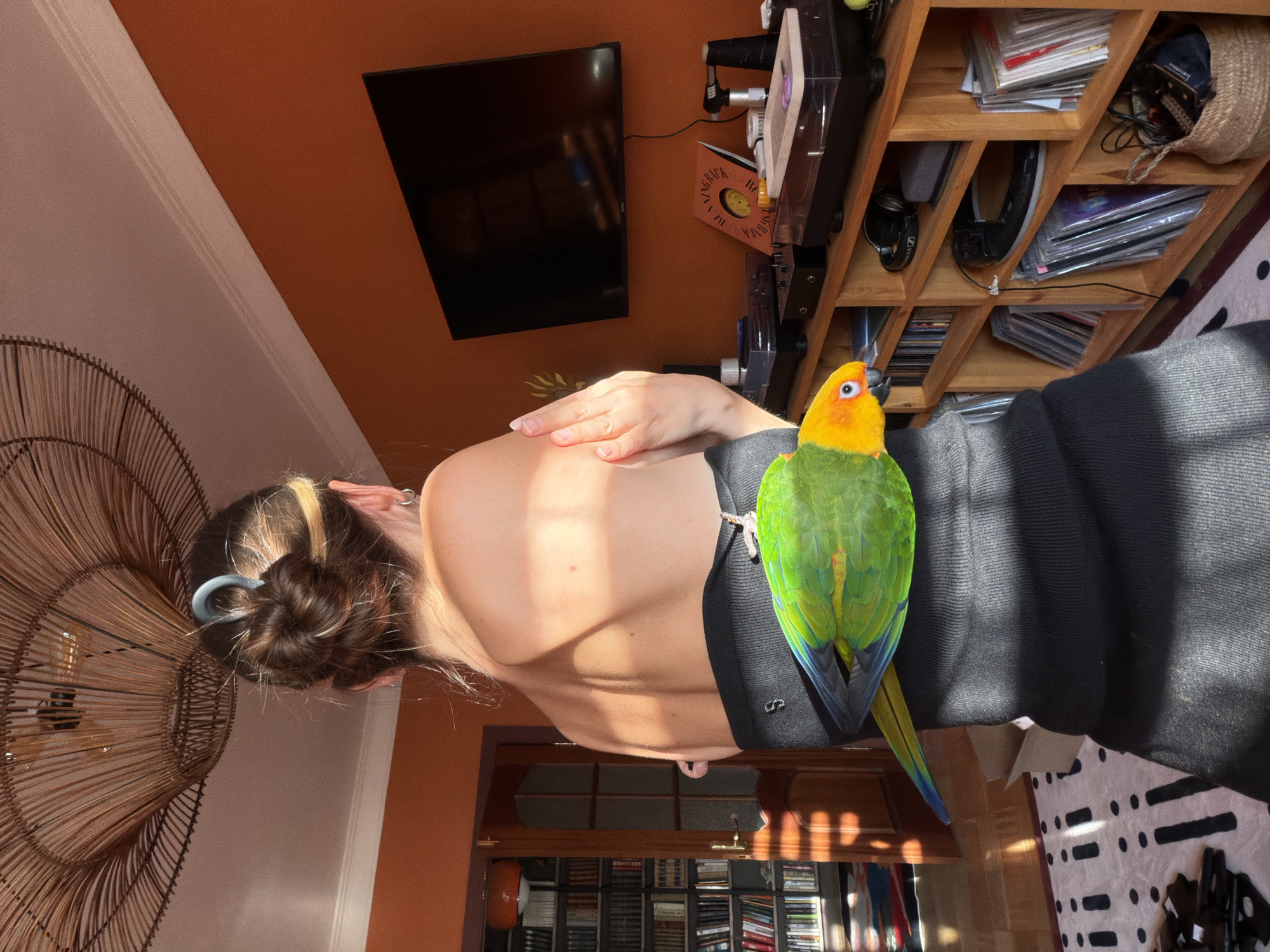 The image shows a woman from behind, with a colorful parrot perched on her back. The woman has her hair pulled up in a bun and is wearing a black strapless top. The parrot is green and yellow with some blue and orange feathers. They are in a room with an orange wall. There is a bookshelf filled with books and records on the right side of the image. A television is mounted on the wall above the bookshelf. The woman's back is illuminated by sunlight, casting shadows on her skin. The parrot's beak is visible, and its eyes are open. The scene appears to be indoors, possibly in a living room or study.