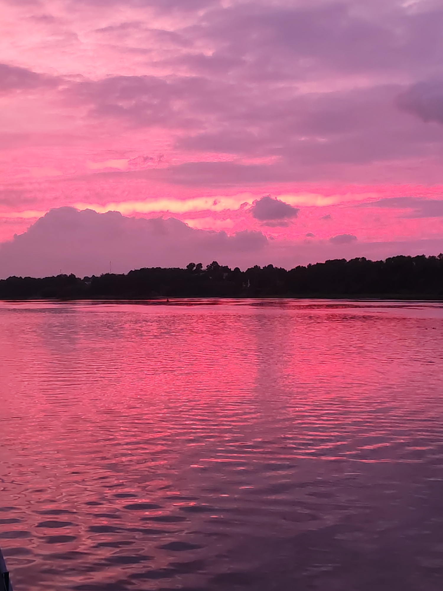 The image shows a body of water reflecting a pink and purple sky at sunset. The sky is filled with clouds, some dark and some lighter pink. In the distance, there is a line of trees silhouetted against the horizon. The water is calm with small ripples. The location is Bol'shie Mkhi, Russia. There are no people in the frame.