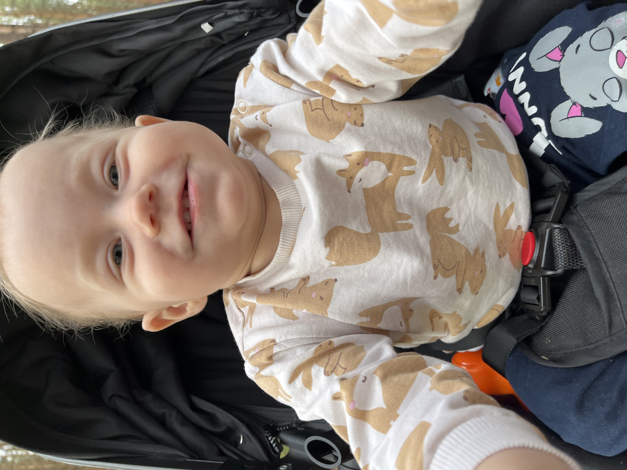 A baby wearing a long-sleeved white shirt with animal patterns is lying in a black stroller. The baby is secured with a black safety harness with a red release button. Part of a dark blue garment with a cartoon design is visible near the baby. The location is not specified in the image.