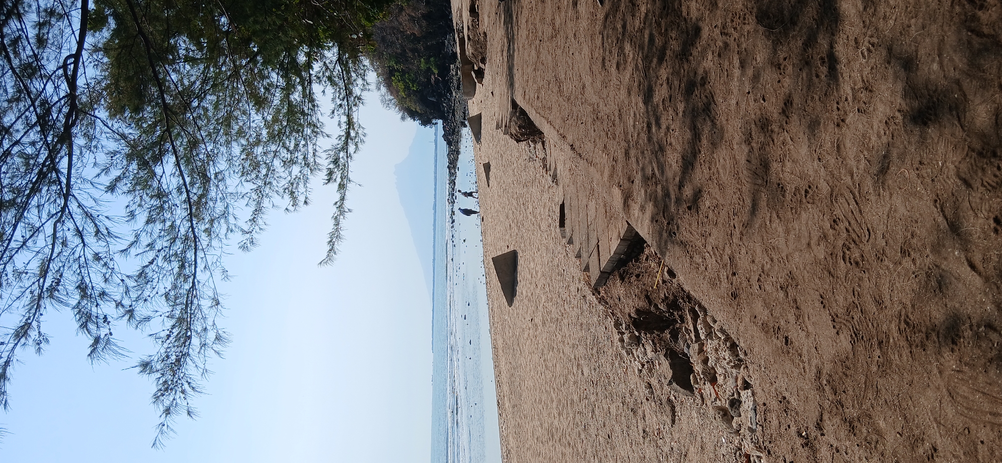 A wide shot captures a serene beach scene in Banyuglugur, Indonesia. The foreground is dominated by sandy ground with tire tracks and shadows from overhead foliage. A partially eroded concrete path with visible paving stones runs along the right side of the image, bordering the sand. Further down the beach, two individuals, one wearing a blue hat and the other in a light-colored shirt, are walking near the water's edge. The gentle waves of the ocean lap at the sandy shore, and scattered rocks are visible in the shallow water and on the beach. In the distance, a hazy mountain peak rises against a pale sky. The scene is framed by the feathery branches of a pine-like tree in the upper portion of the image.