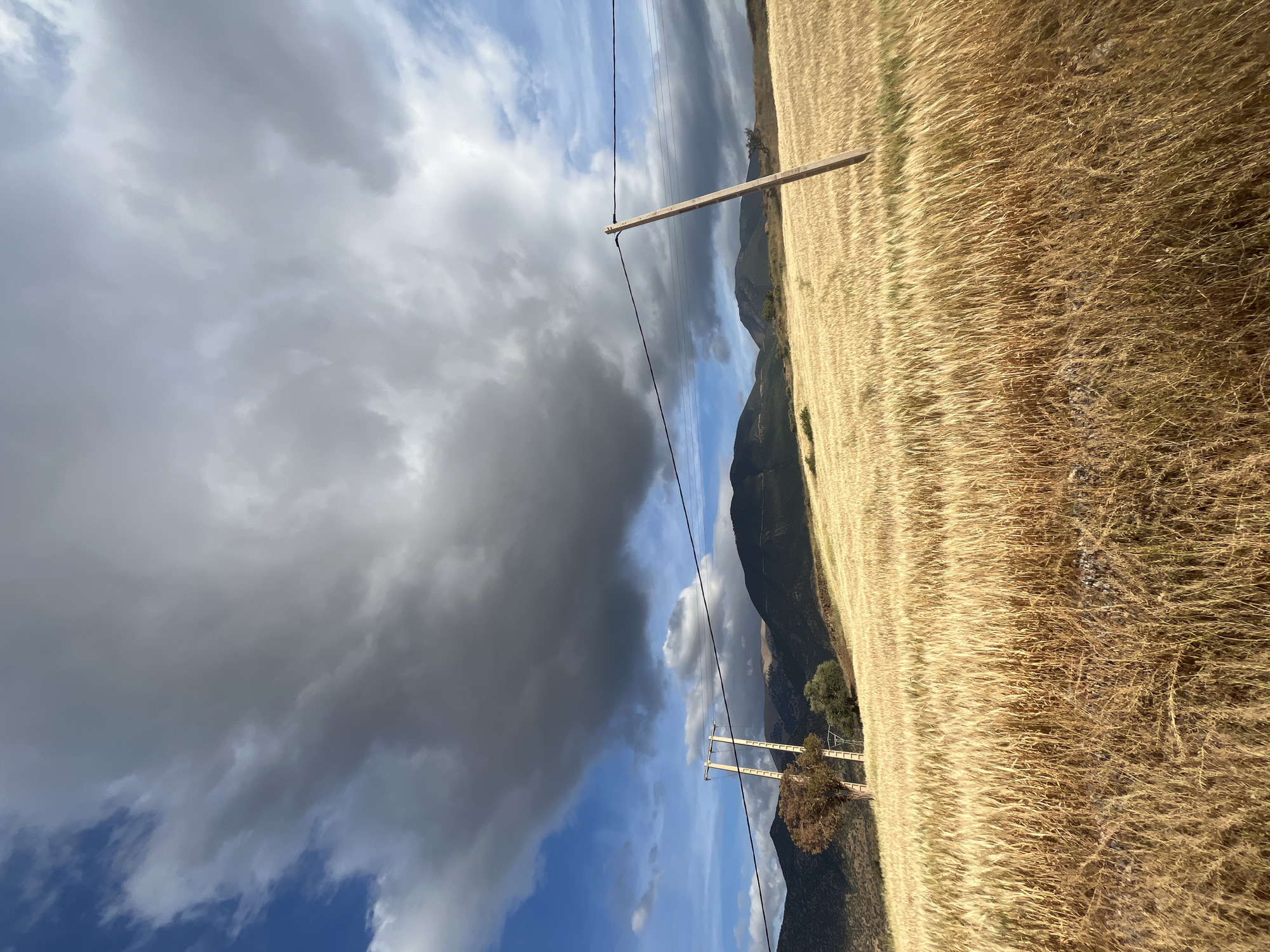 The photograph captures a landscape scene in the city of Ouaouizert, Morocco. The foreground is dominated by a dry field of wheat, its golden stalks filling the frame. A mountain range runs across the mid-ground, with dark green slopes contrasting against the sky. Overhead, a dramatic sky is visible, filled with both dark storm clouds and patches of blue sky. Two wooden utility poles with visible lines cut across the scene.
