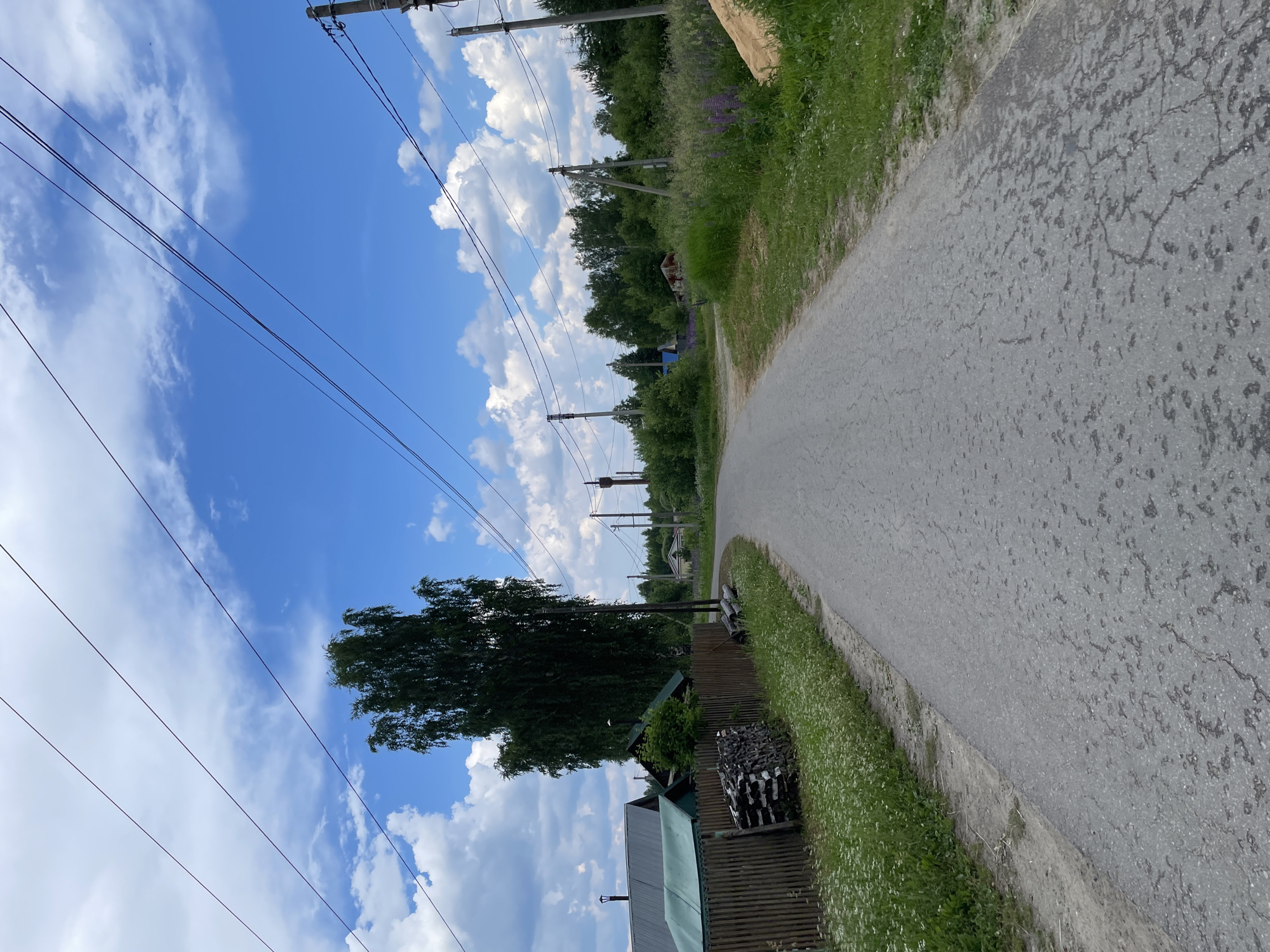 The image depicts a paved road winding through a rural village, identified as Пруды, Russia. The road is bordered by a grassy shoulder and a wooden fence on the left, behind which are several houses with green roofs. A pile of firewood is stacked against the fence. A tall, leafy tree stands prominently near the fence. On the right side of the road, more grass and wildflowers, including purple lupine, are visible. In the distance, trees line the horizon, and power lines stretch across the bright blue sky dotted with white clouds. Several utility poles are also visible along the road. A water tower can be seen in the far distance. The scene appears to be a quiet, sunny day in a village. There are no people or animals visible in the image.