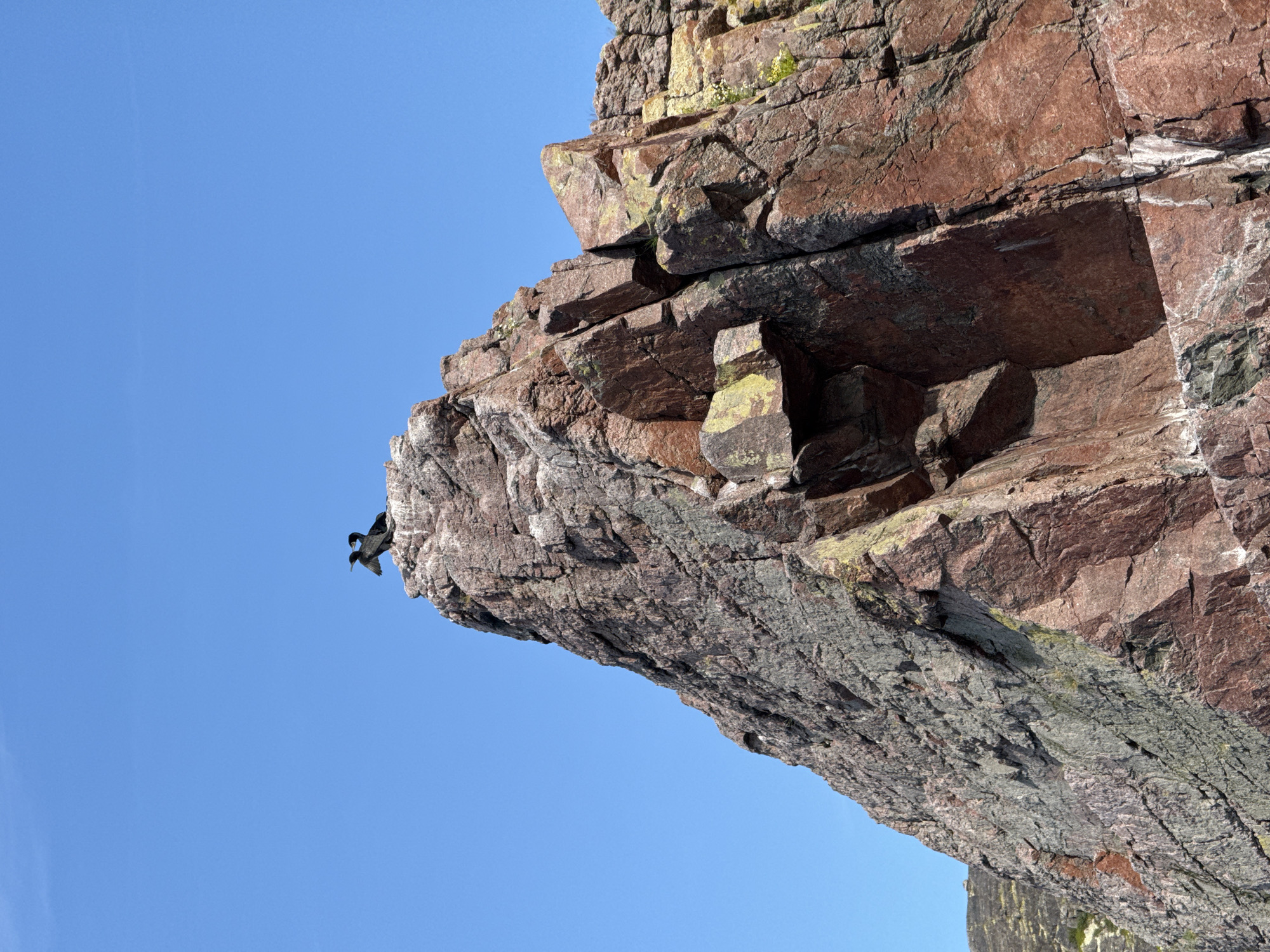 Two black birds, likely cormorants, perch atop a tall, rugged rock formation under a clear blue sky. The rock is a mix of reddish-brown and grey hues, with rough, textured surfaces. The birds are positioned close together on the highest point of the rock, facing towards the left of the frame. The lower portion of the rock is partially obscured by shadow. In the distance, to the left of the main rock formation, a less prominent, sloped rocky terrain is visible. This scene is likely located along the coast of Teriberka, Russia, a region known for its dramatic coastal cliffs and birdlife.