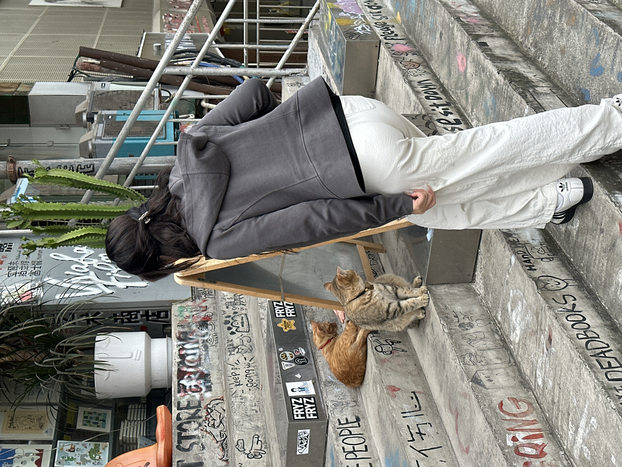 The image depicts a person in a gray jacket and white pants bending over to interact with two cats sitting on a concrete staircase. The stairs are covered with graffiti and stickers. The background includes potted plants, metal railings, and storefronts. The location appears to be an urban area, likely in Jiulongpo District, China, given the presence of Chinese characters.