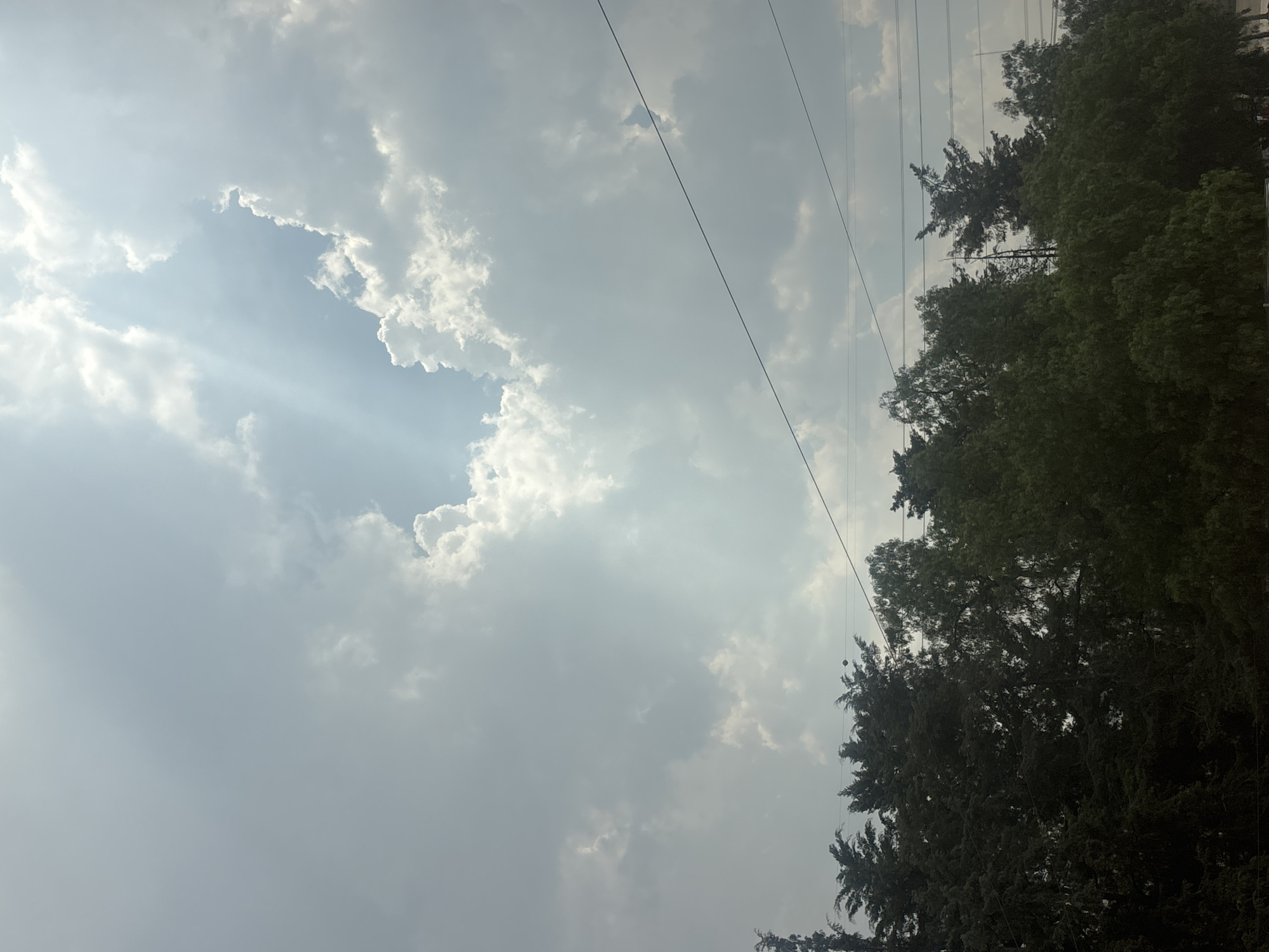 The image depicts a sky filled with thick, predominantly grey and white clouds. A patch of blue sky is visible through a break in the clouds, with sunlight streaming through. Electrical wires are seen diagonally across the upper portion of the frame. The right side of the image shows the top of a row of tall green trees. It is not possible to confirm the location of Buenavista, Mexico based solely on the content of this image.